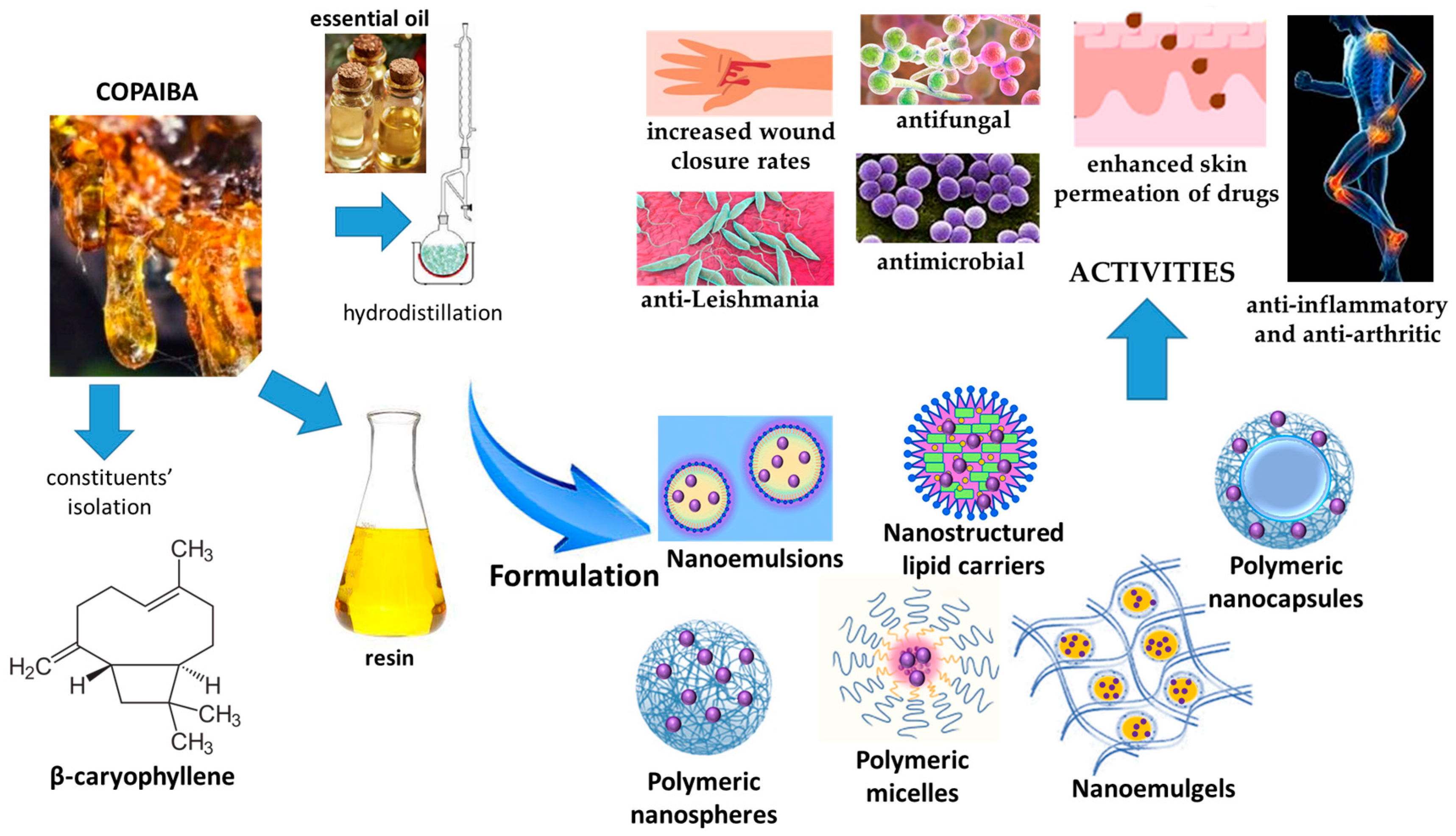 Pharmaceutics 17 00053 g009