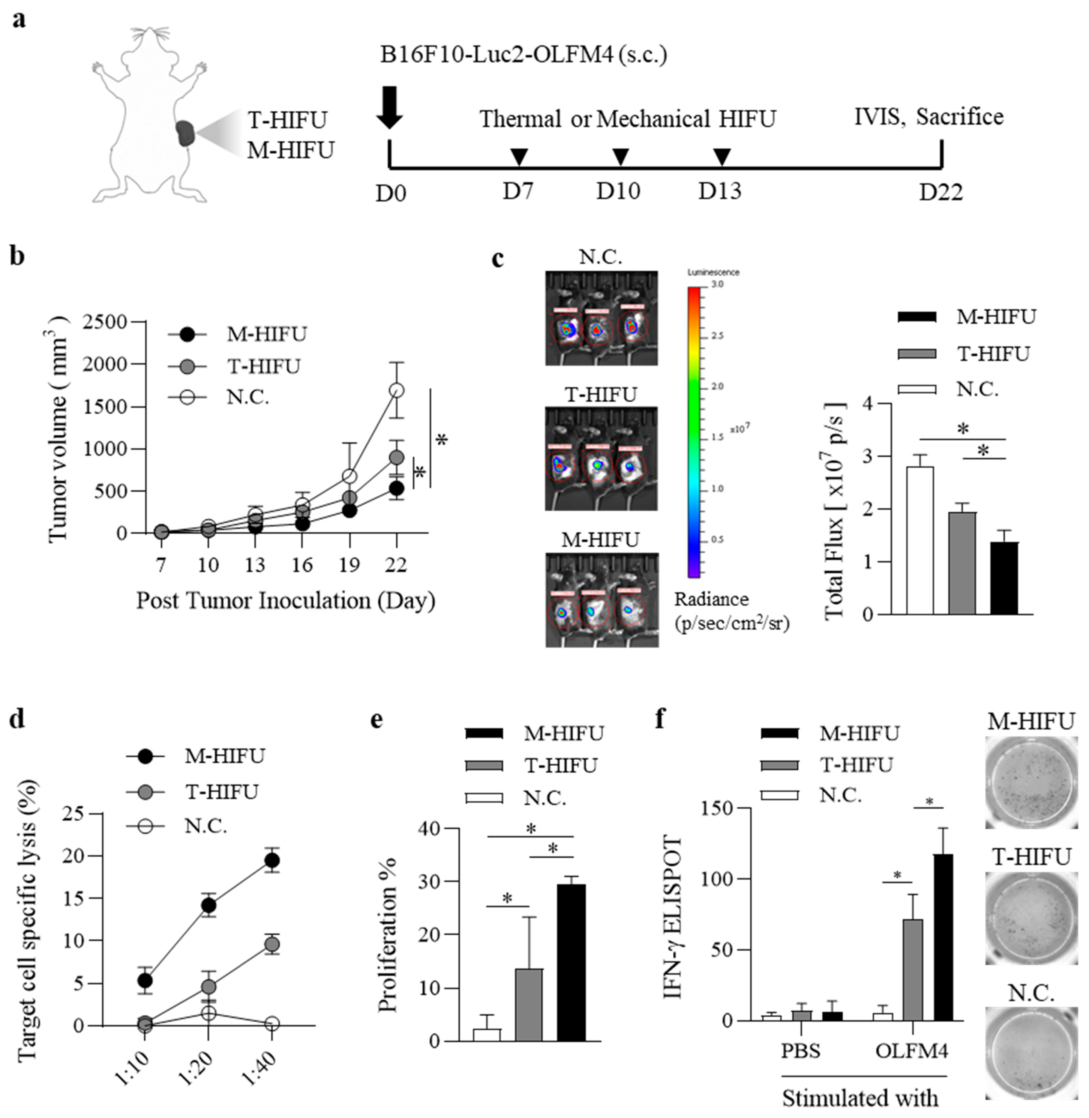 Pharmaceutics 17 00065 g001