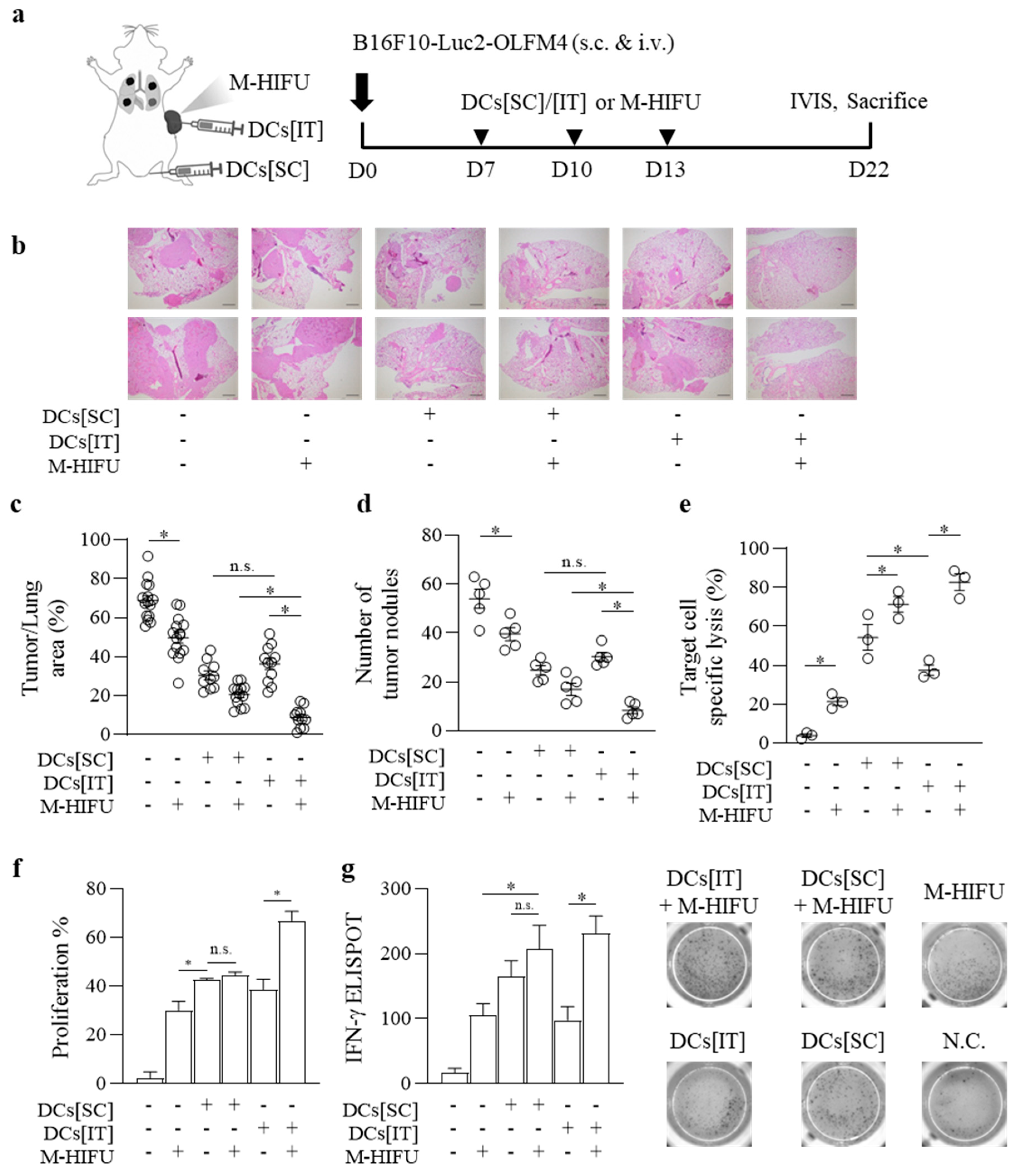 Pharmaceutics 17 00065 g004