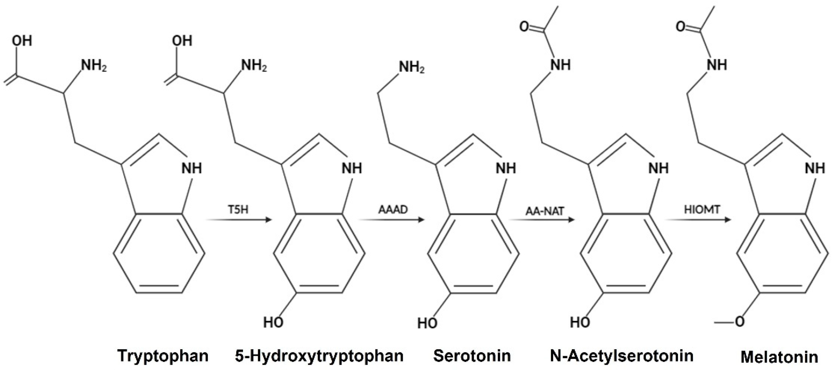 Pharmaceutics 17 00085 g005