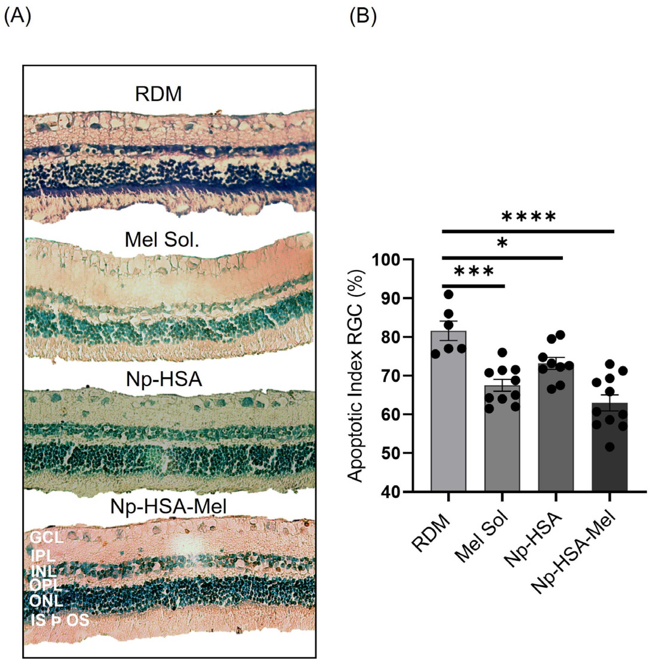 Pharmaceutics 17 00085 g007
