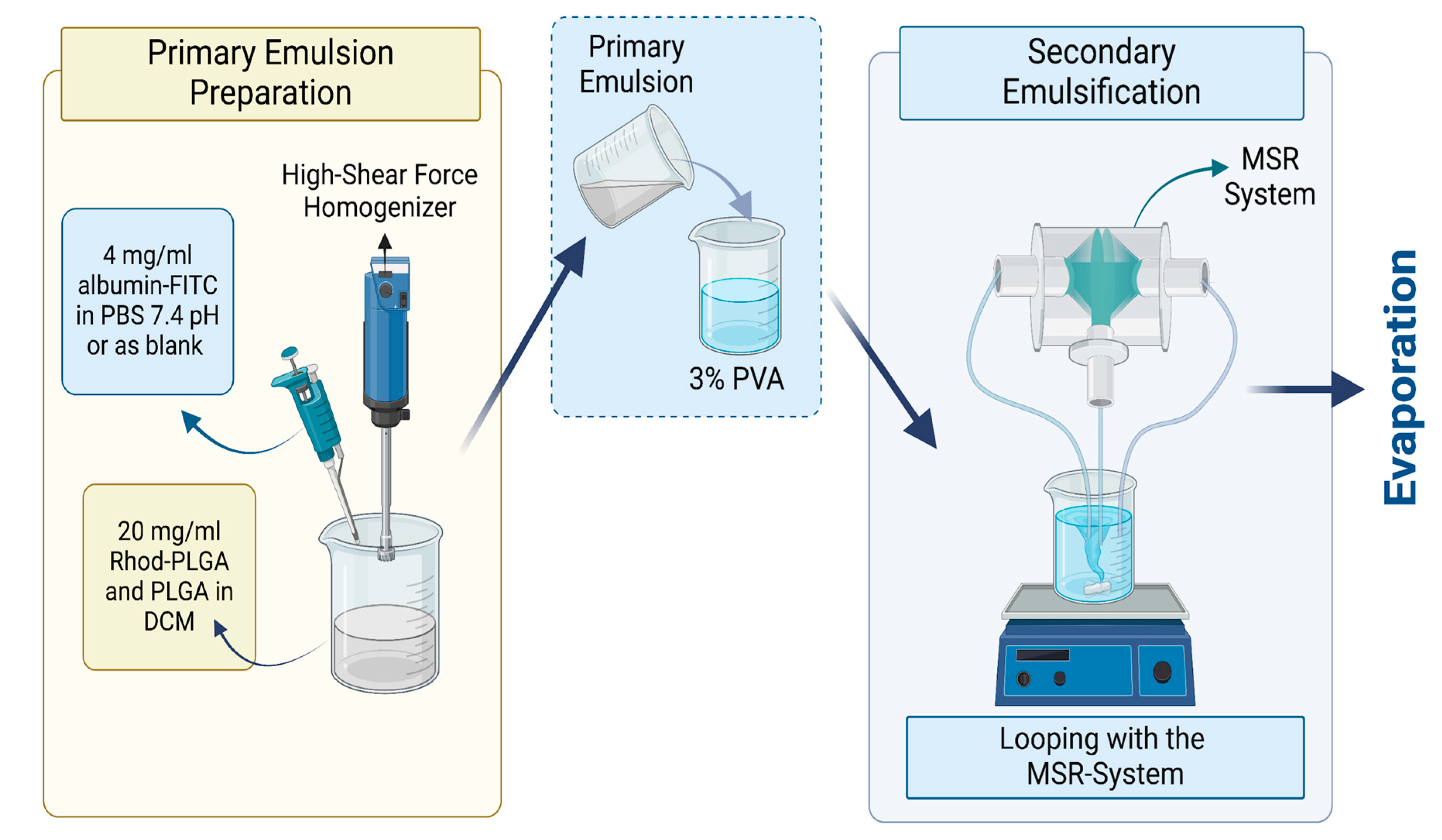 Pharmaceutics 17 00087 g001