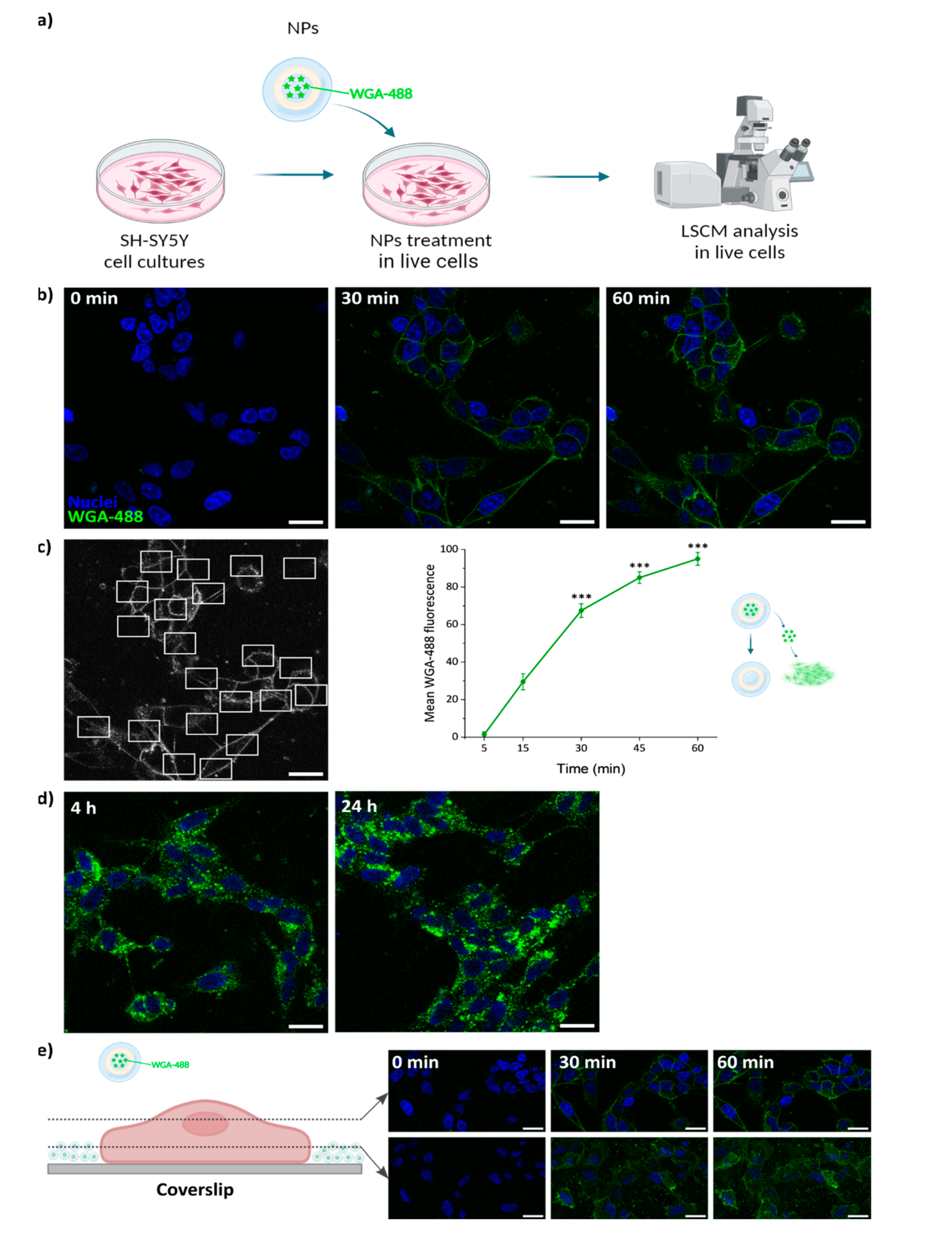 Pharmaceutics 17 00087 g007