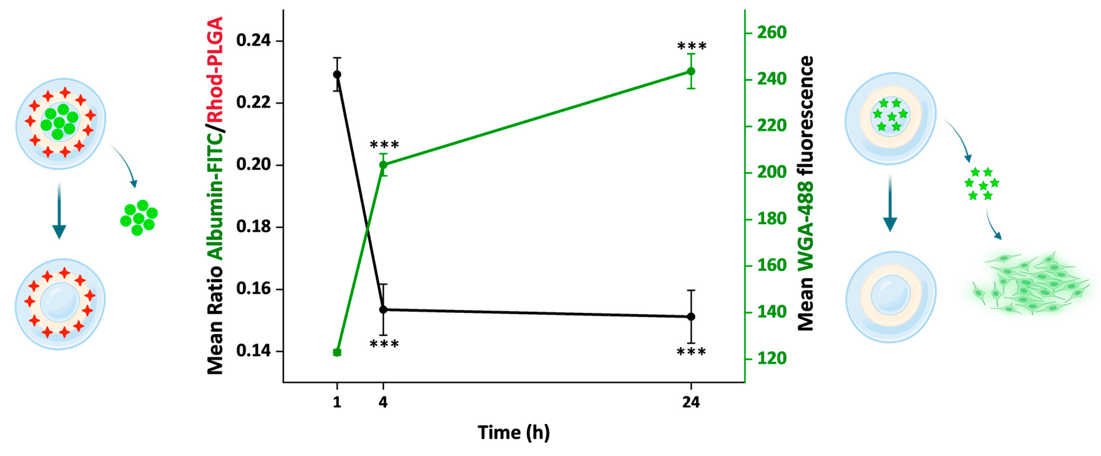 Pharmaceutics 17 00087 g008