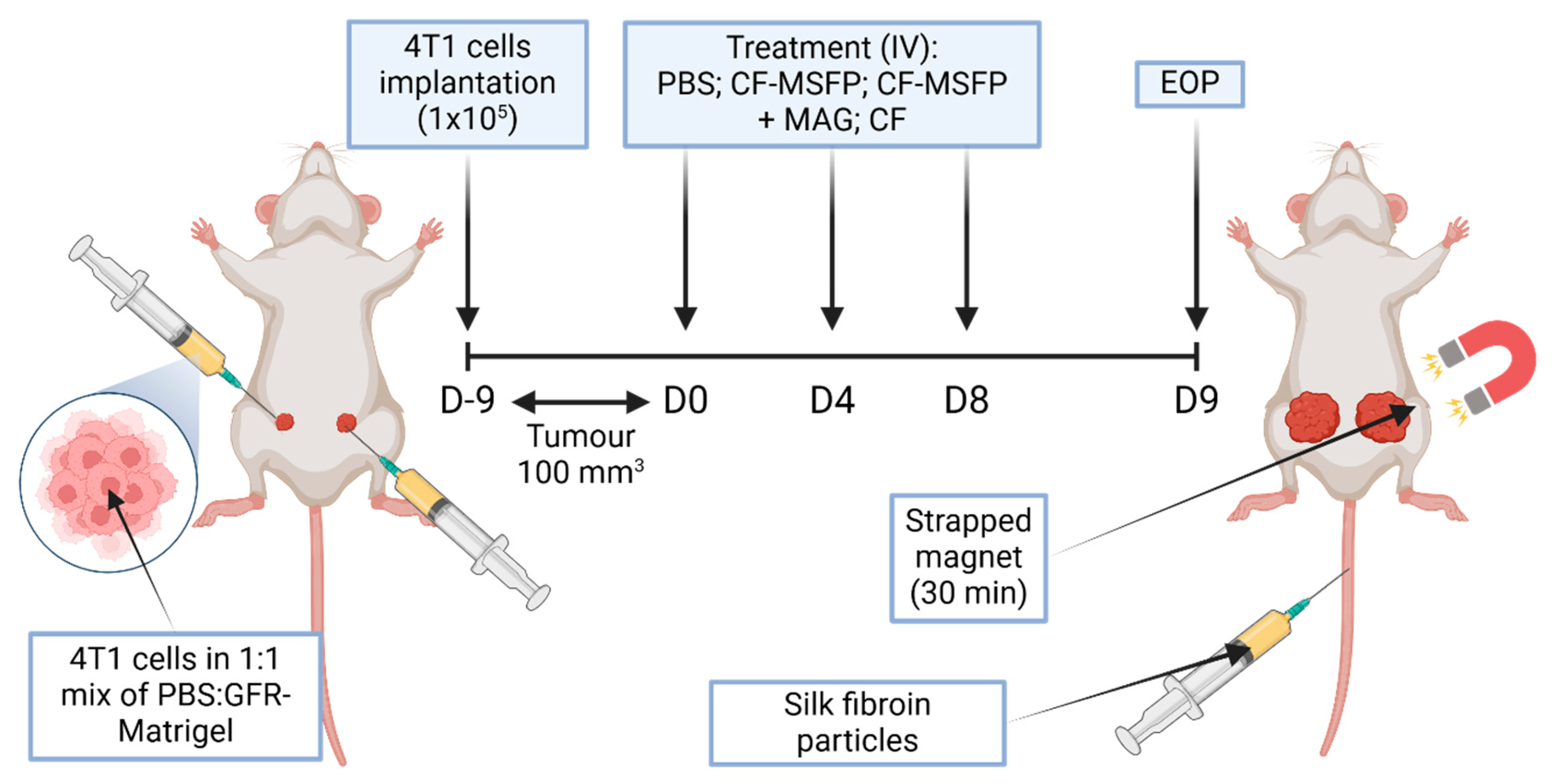 Pharmaceutics 17 00095 g002