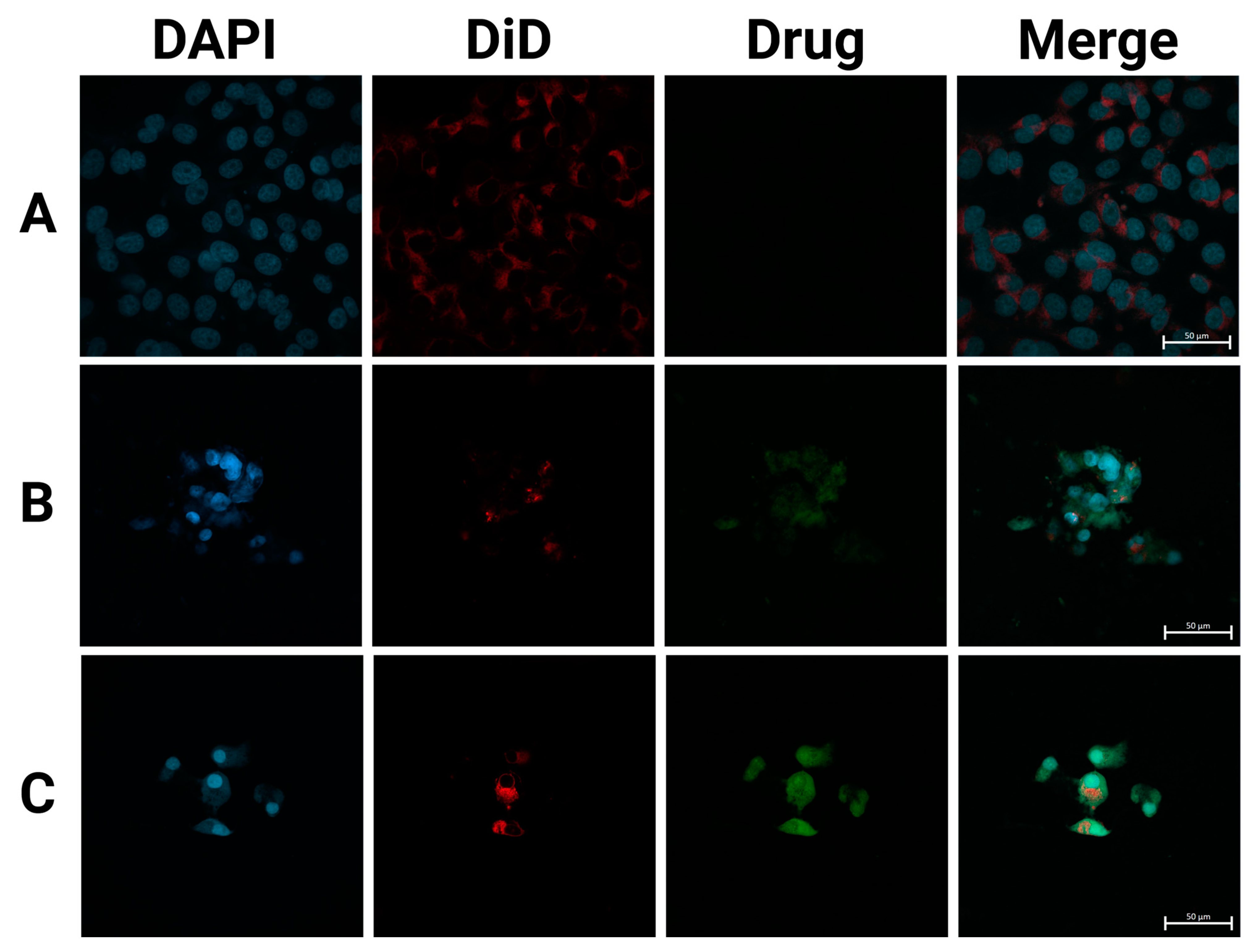 Pharmaceutics 17 00095 g006