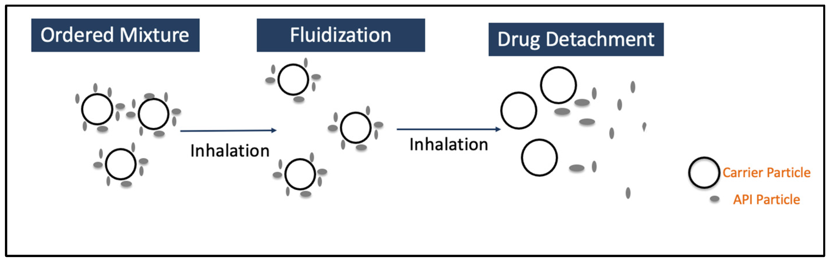 Pharmaceutics 17 00096 g001