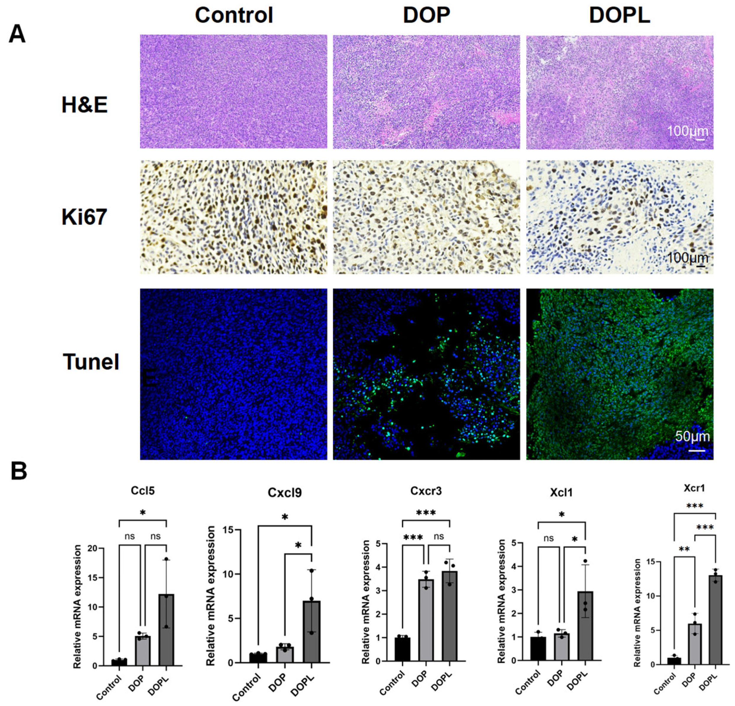 Pharmaceutics 17 00097 g005