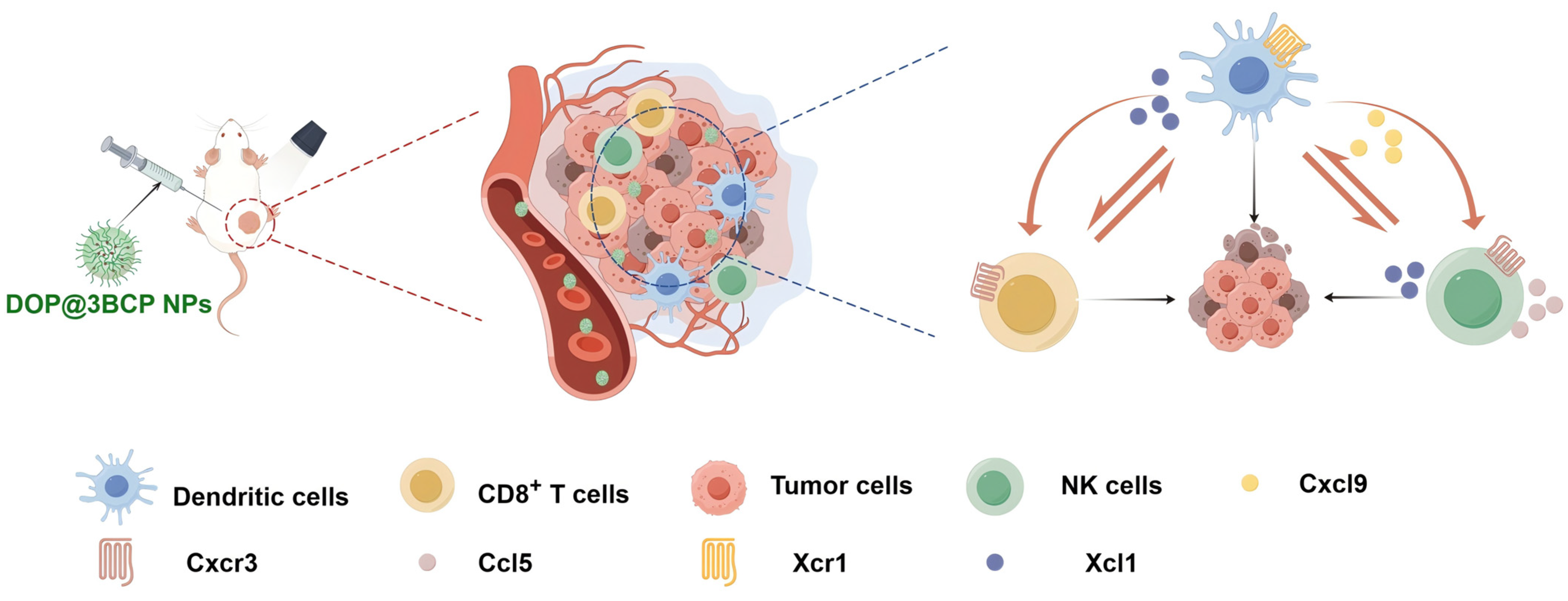 Pharmaceutics 17 00097 g006