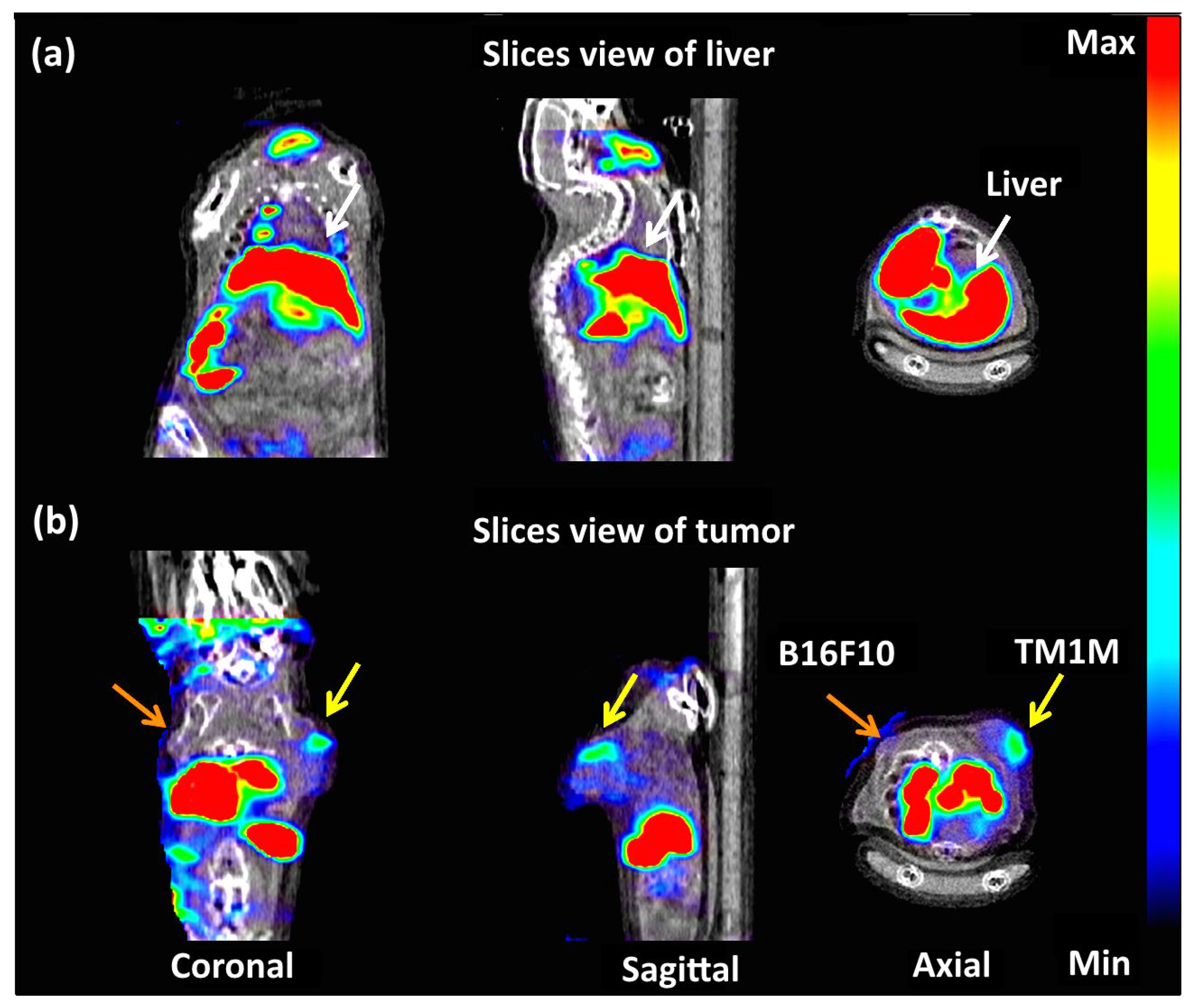 Pharmaceutics 17 00100 g007