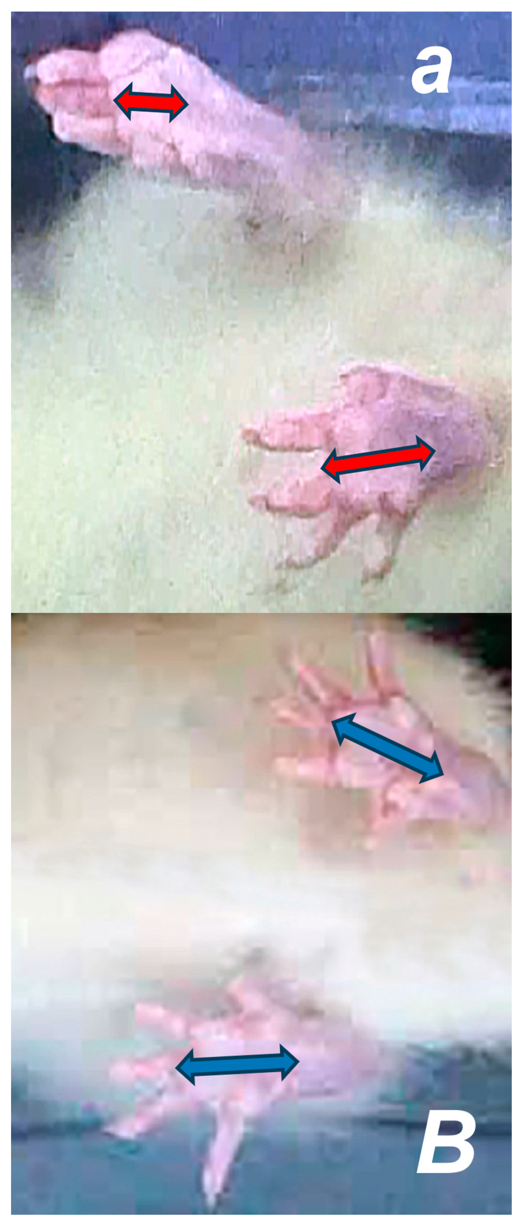 Pharmaceutics 17 00119 g004 Pharmaceutics 17 00119 g004