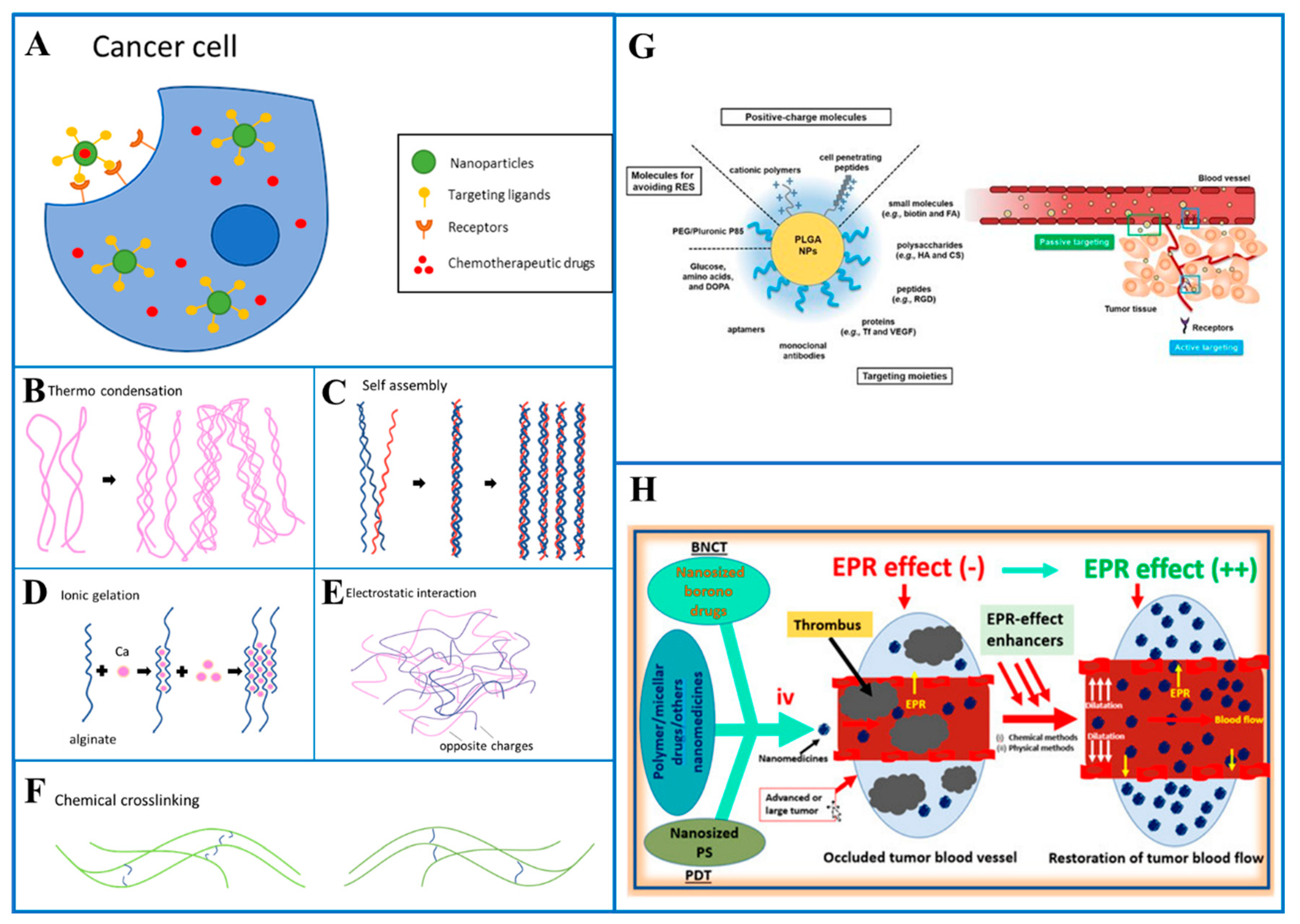 Pharmaceutics 17 00121 g001