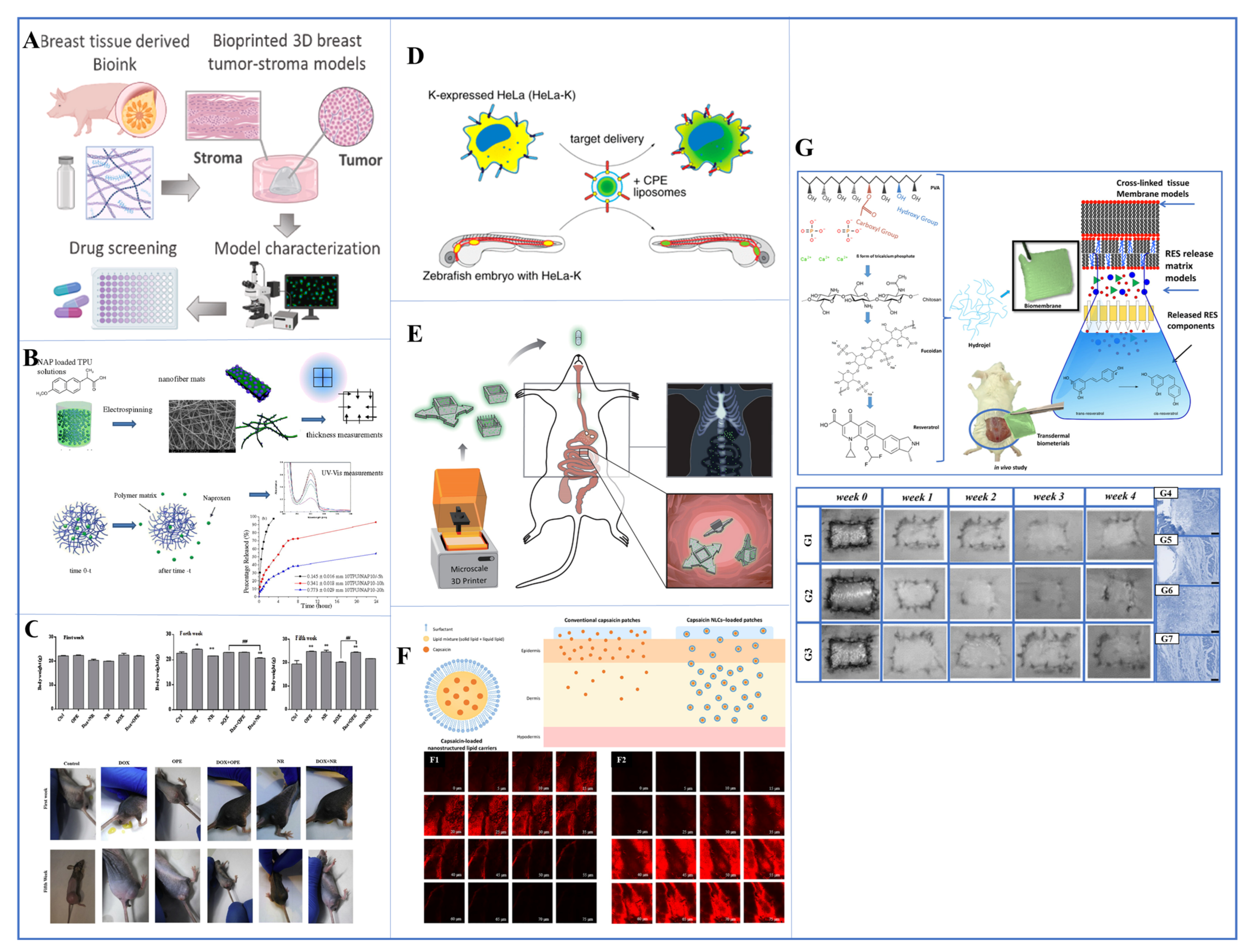 Pharmaceutics 17 00121 g002