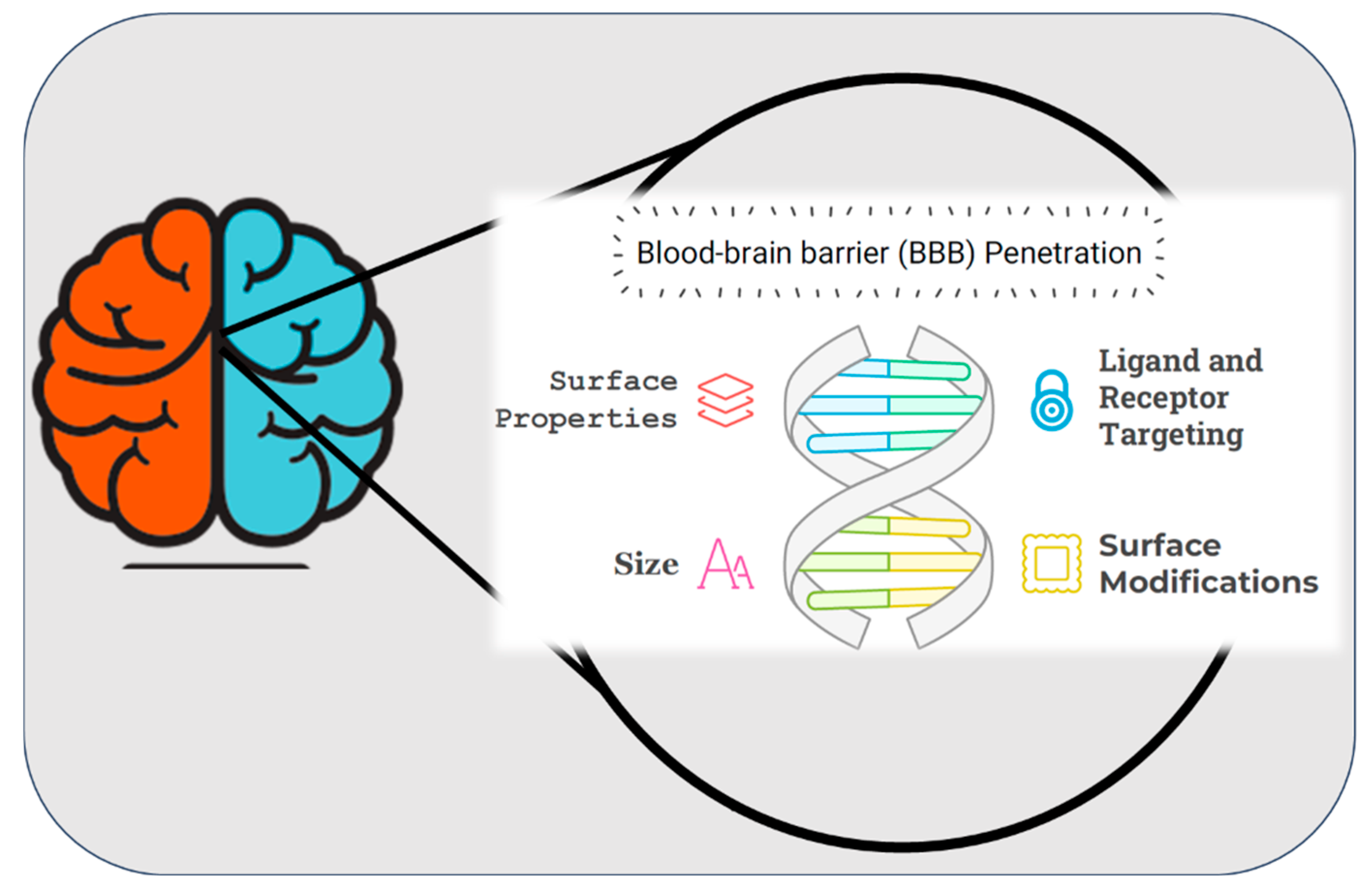 Pharmaceutics 17 00121 g004
