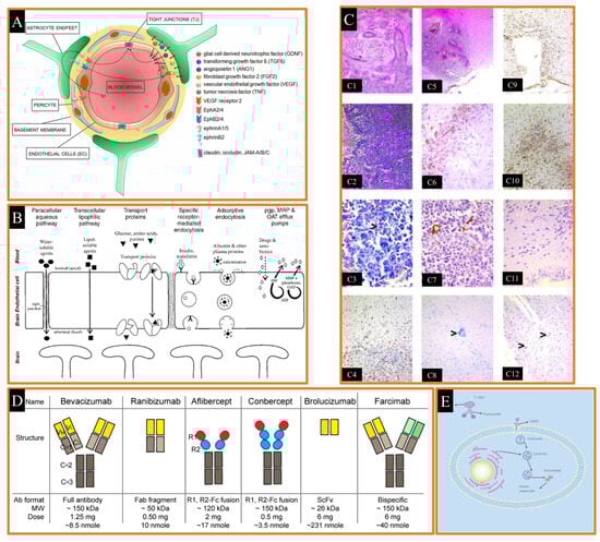 Pharmaceutics 17 00121 g005