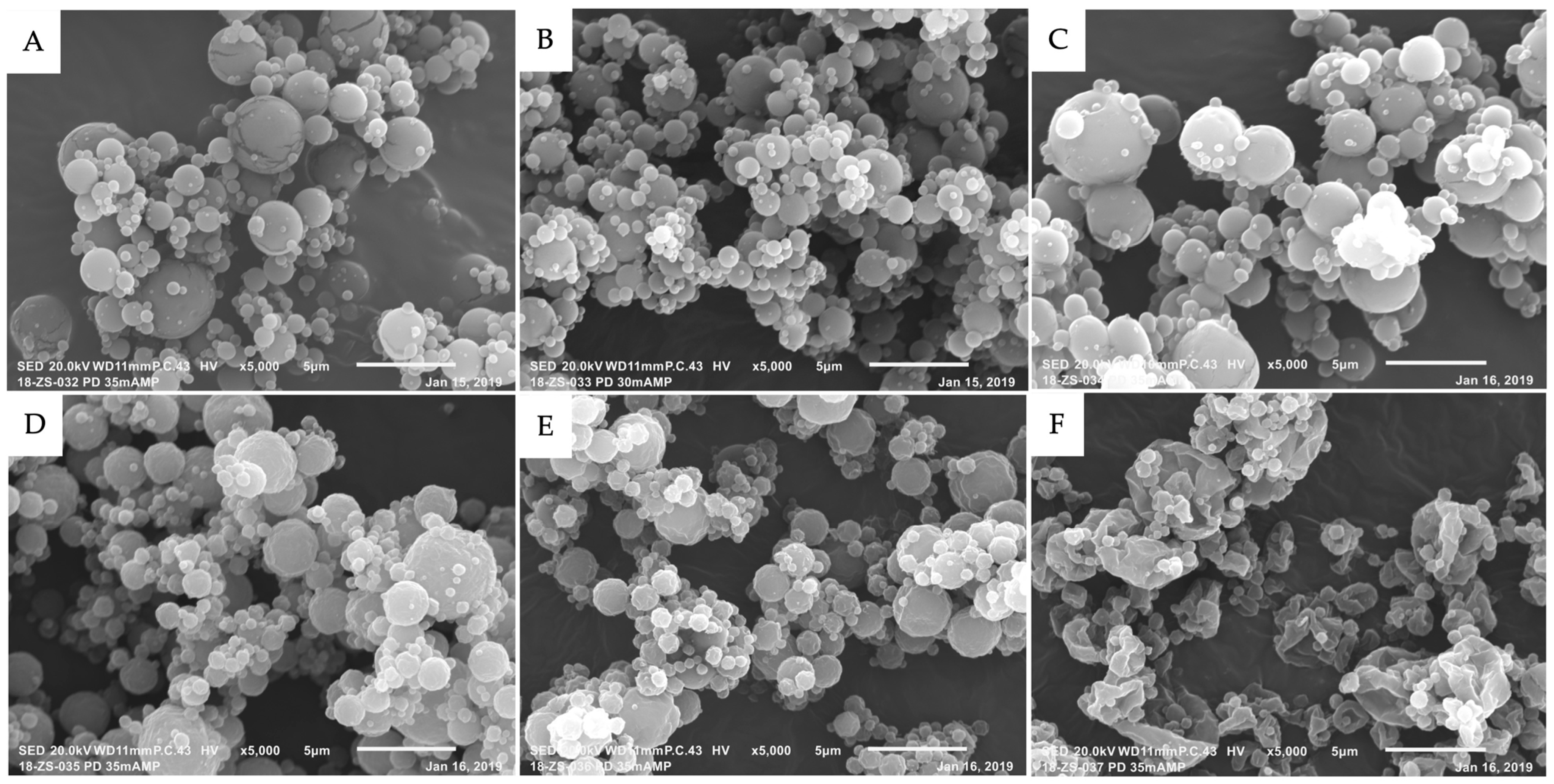 Pharmaceutics 17 00122 g002
