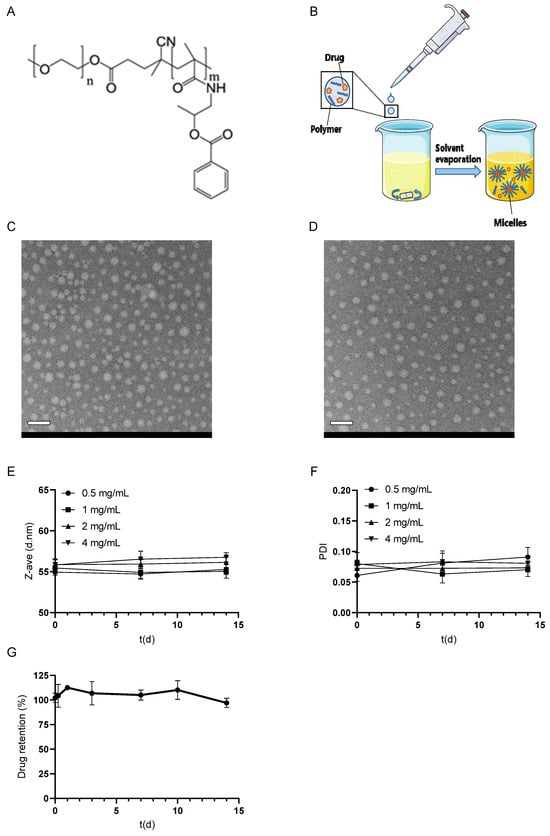 Pharmaceutics 17 00127 g001
