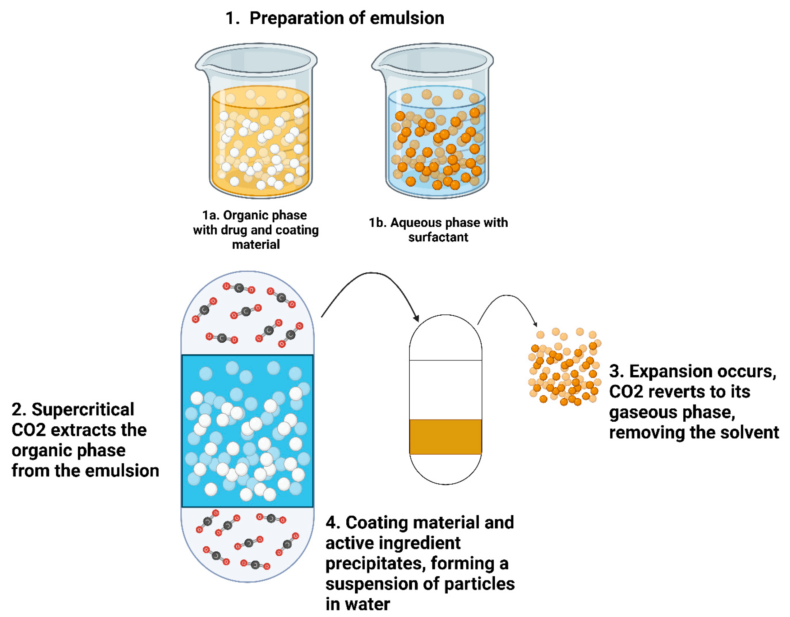 Pharmaceutics 17 00136 g007