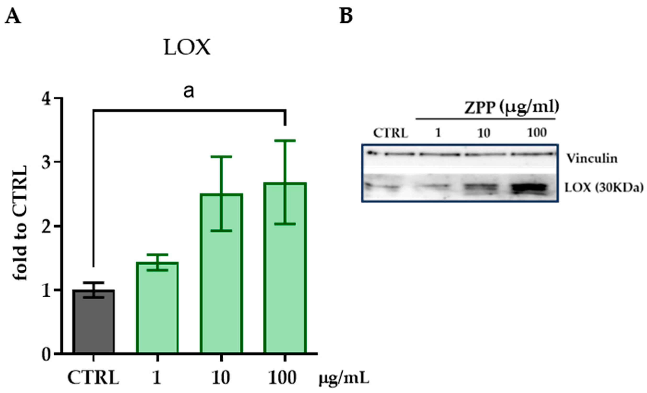 Pharmaceutics 17 00138 g007