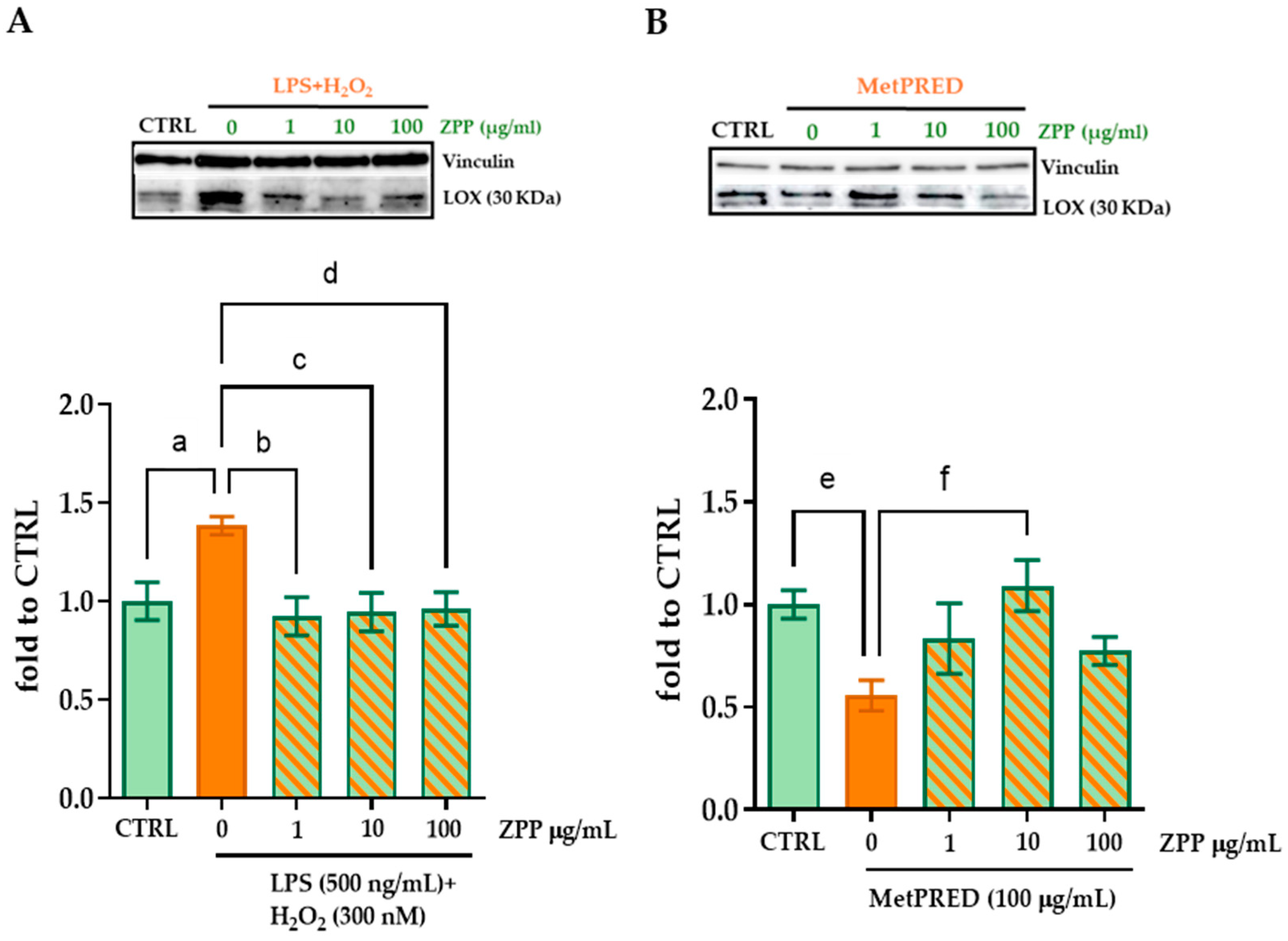 Pharmaceutics 17 00138 g008