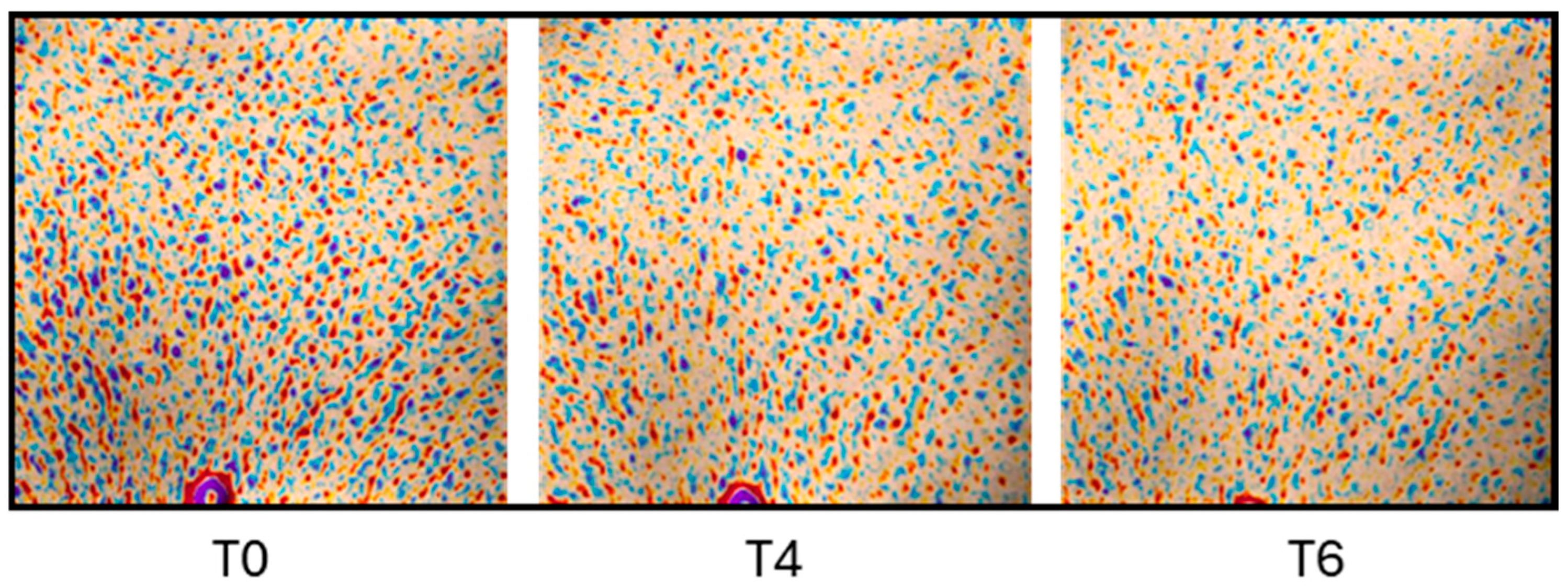 Pharmaceutics 17 00138 g012