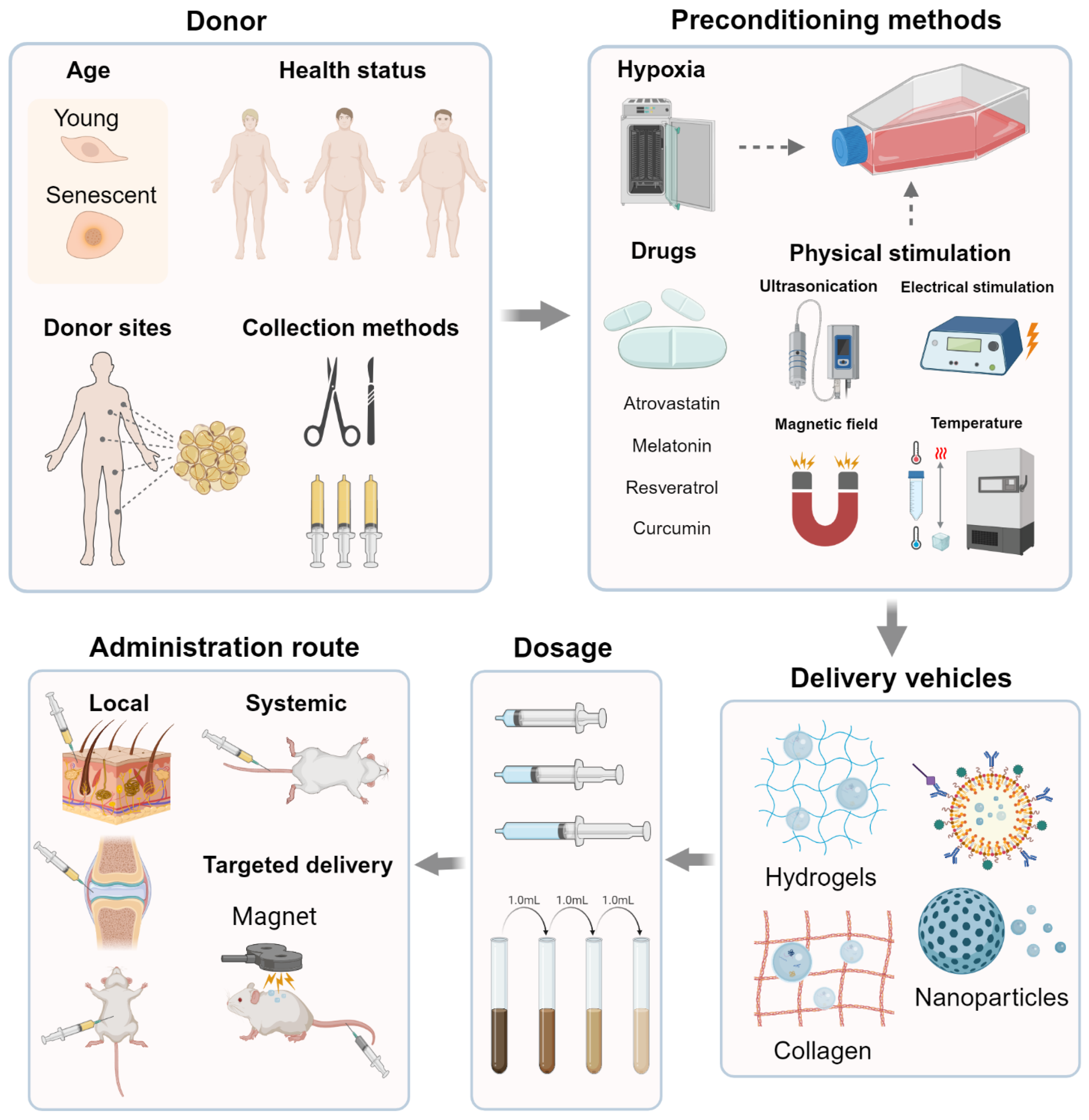 Pharmaceutics 17 00147 g002