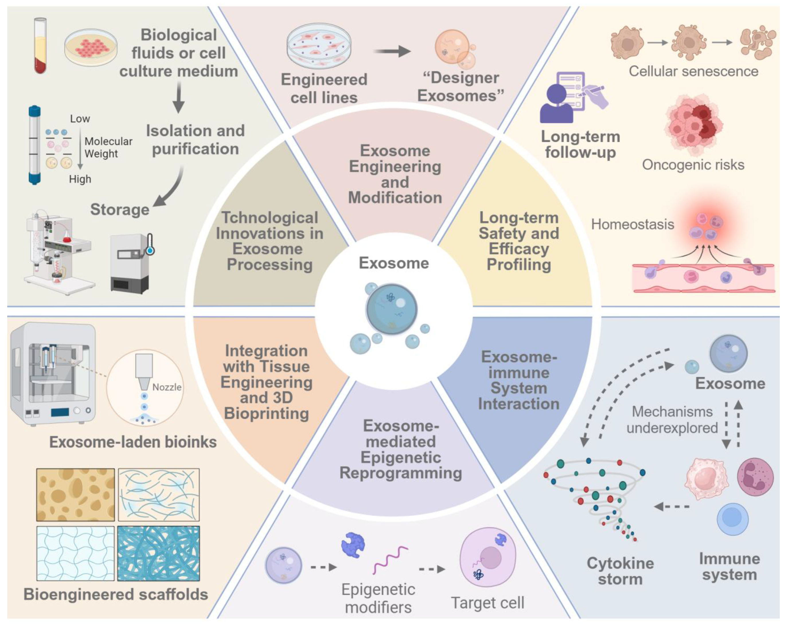 Pharmaceutics 17 00147 g005