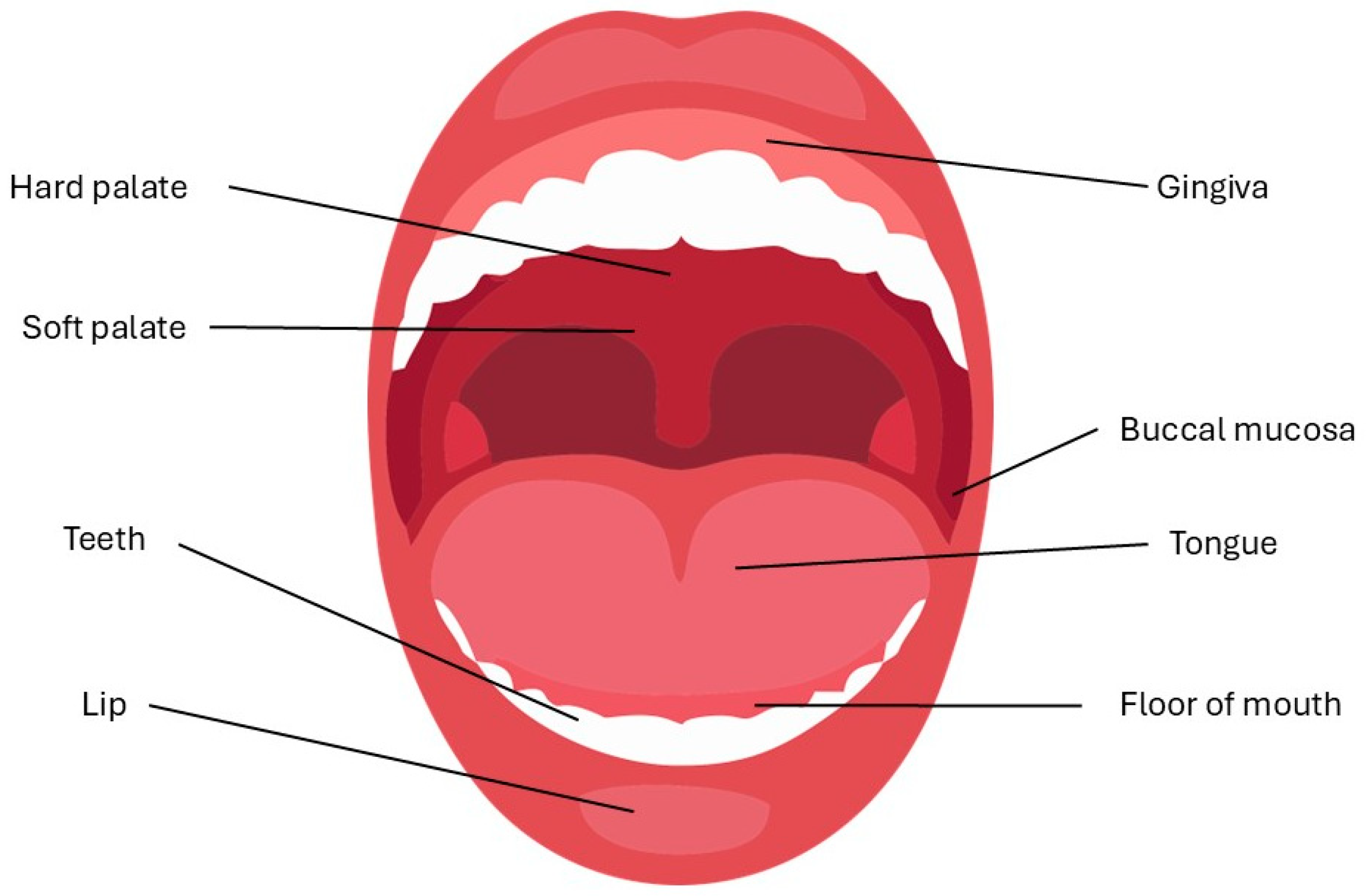 Pharmaceutics 17 00148 g001