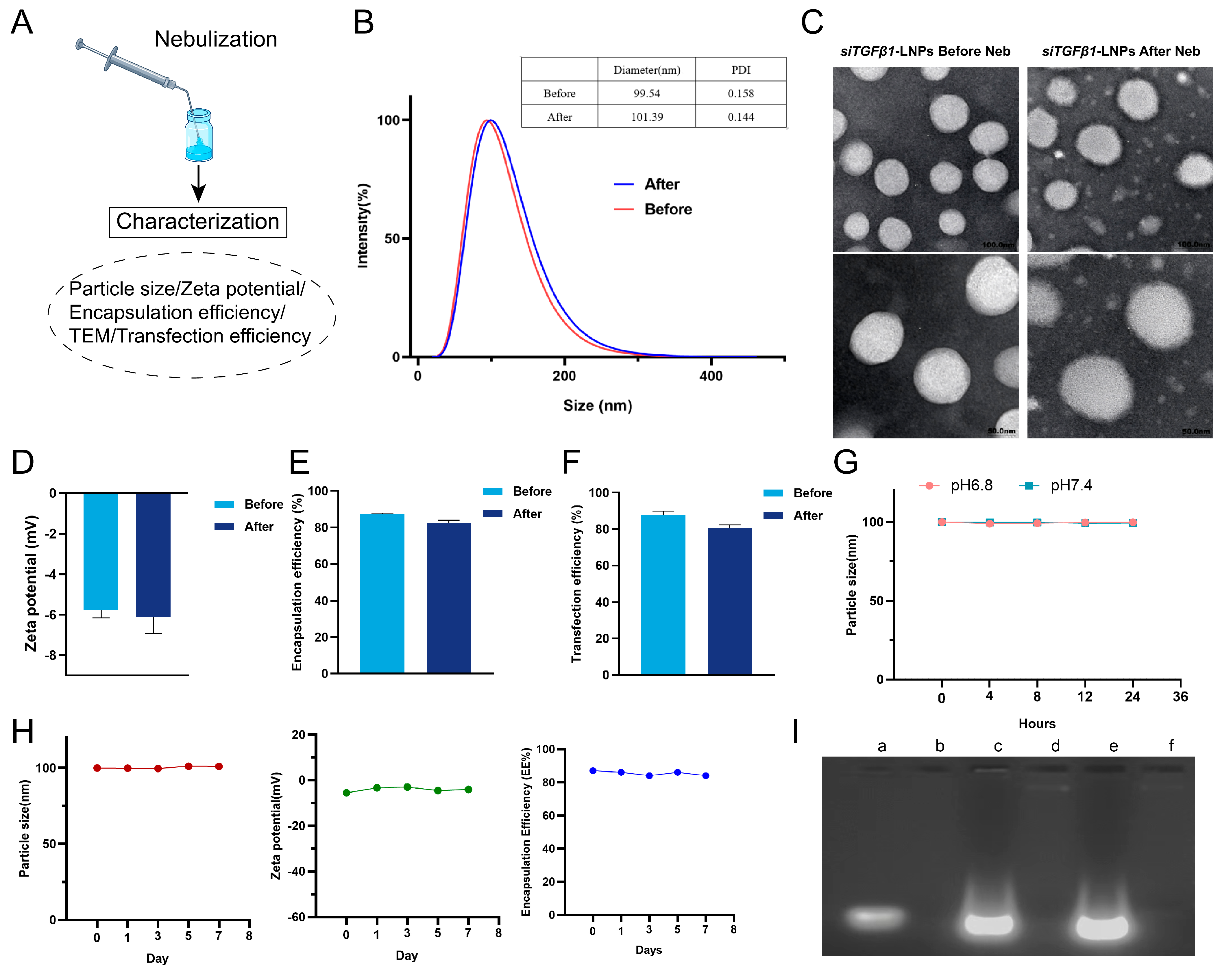 Pharmaceutics 17 00157 g003
