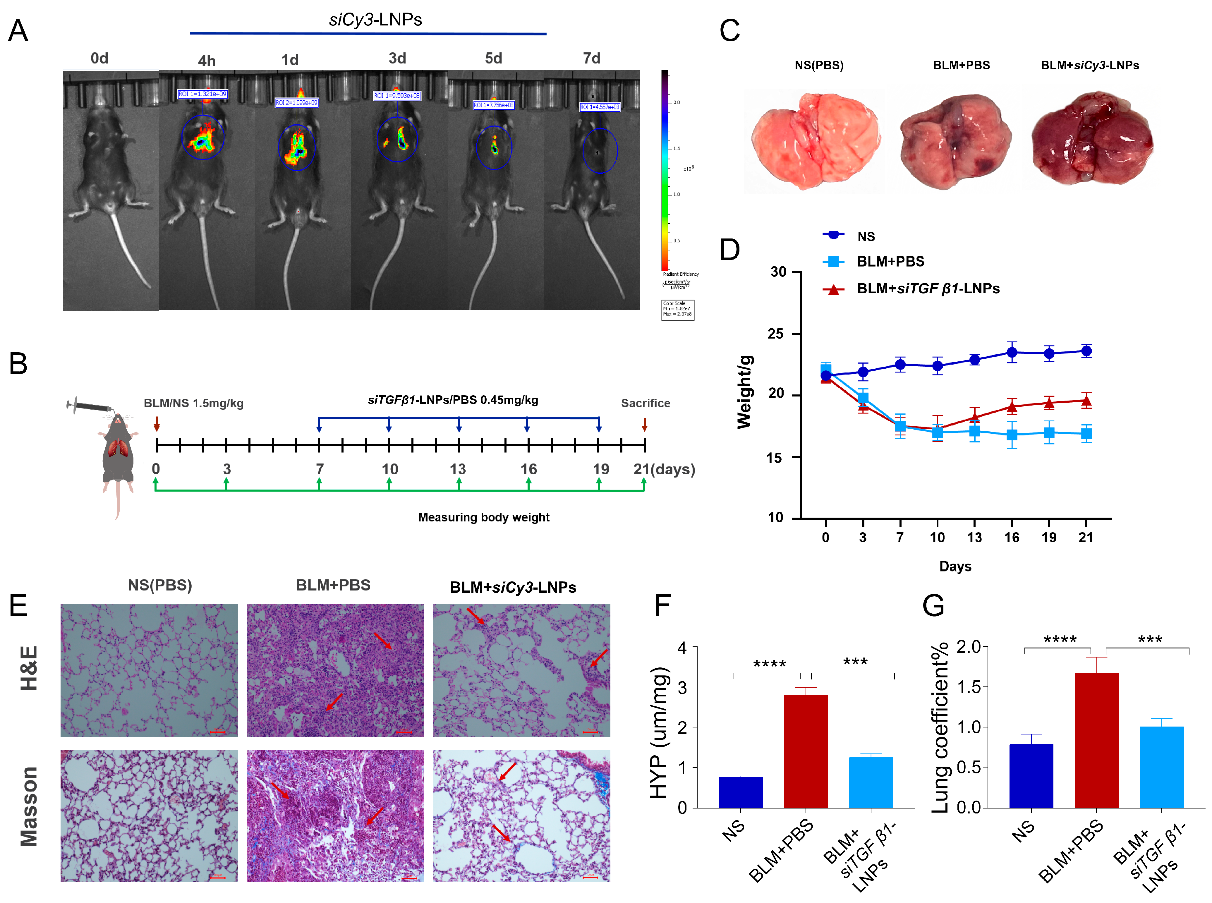 Pharmaceutics 17 00157 g006