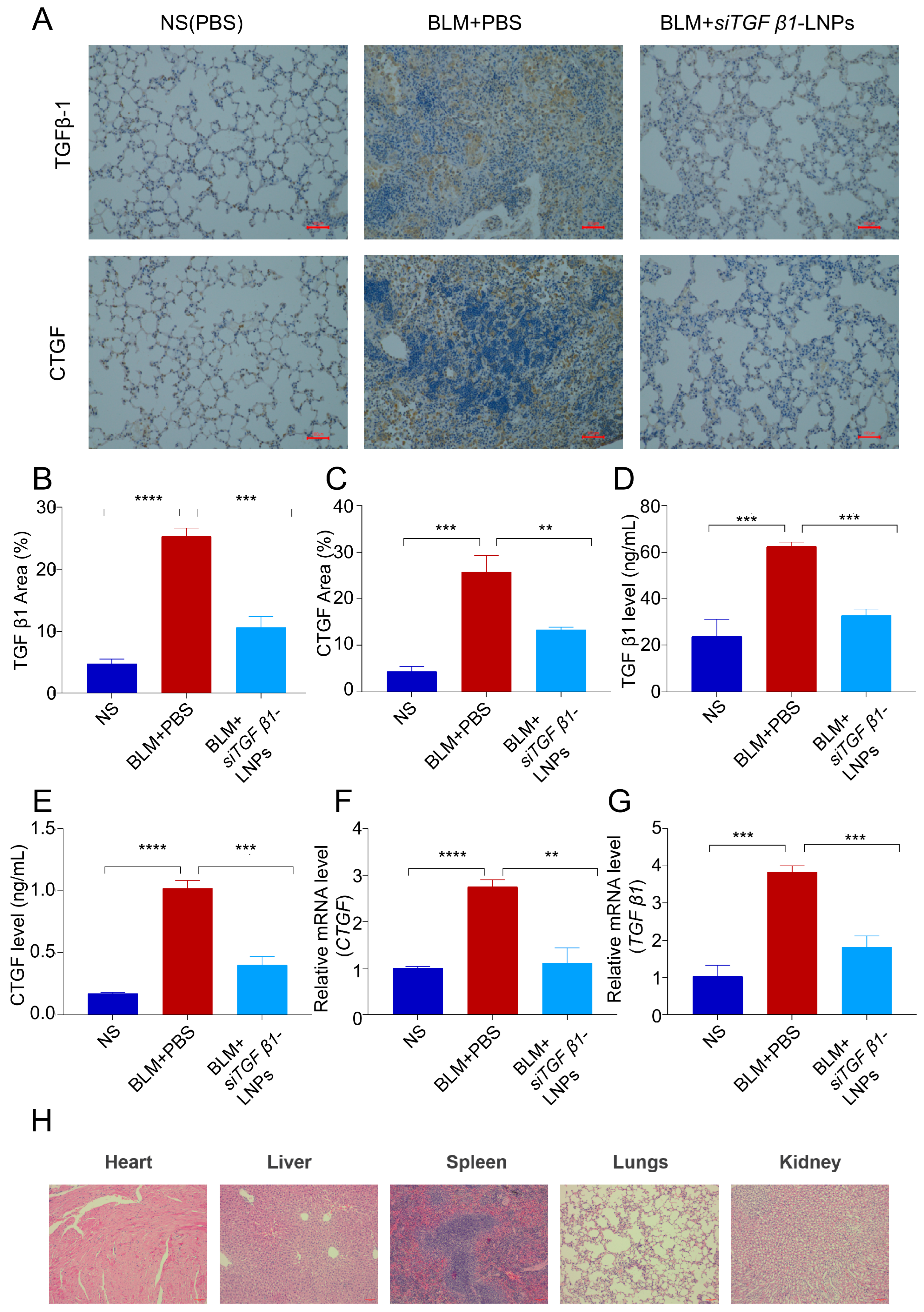 Pharmaceutics 17 00157 g007