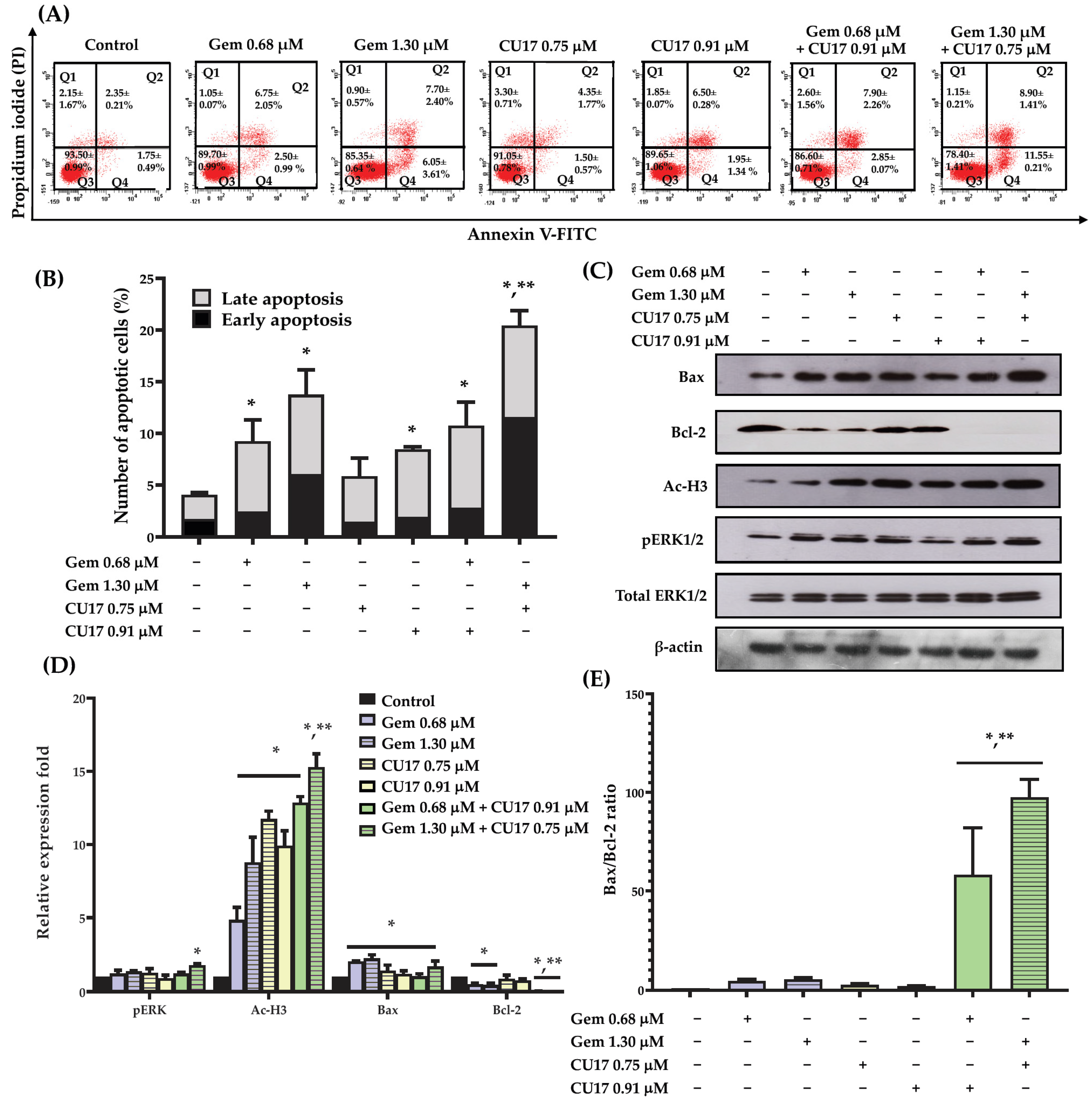 Pharmaceutics 17 00158 g003