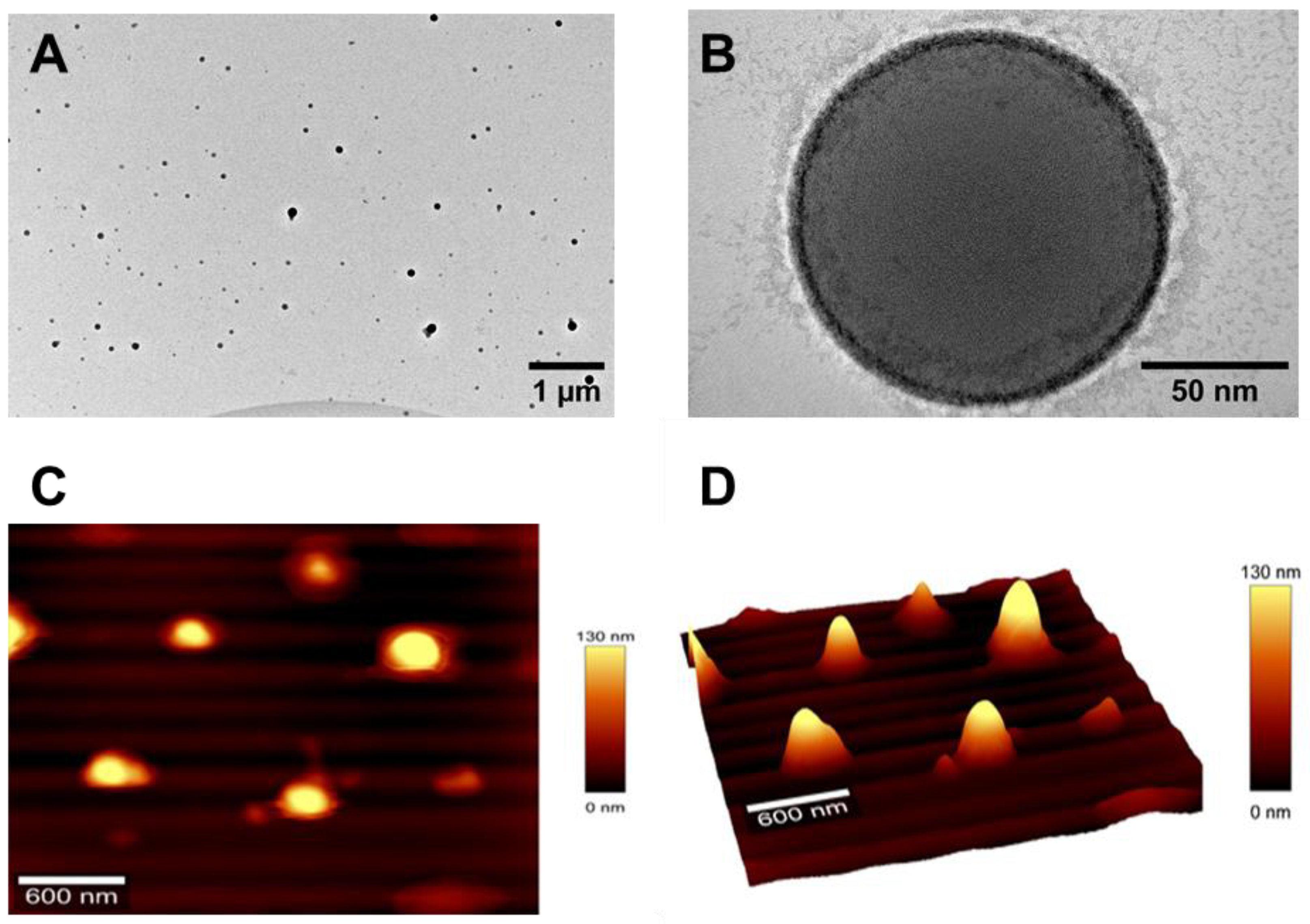 Pharmaceutics 17 00164 g002