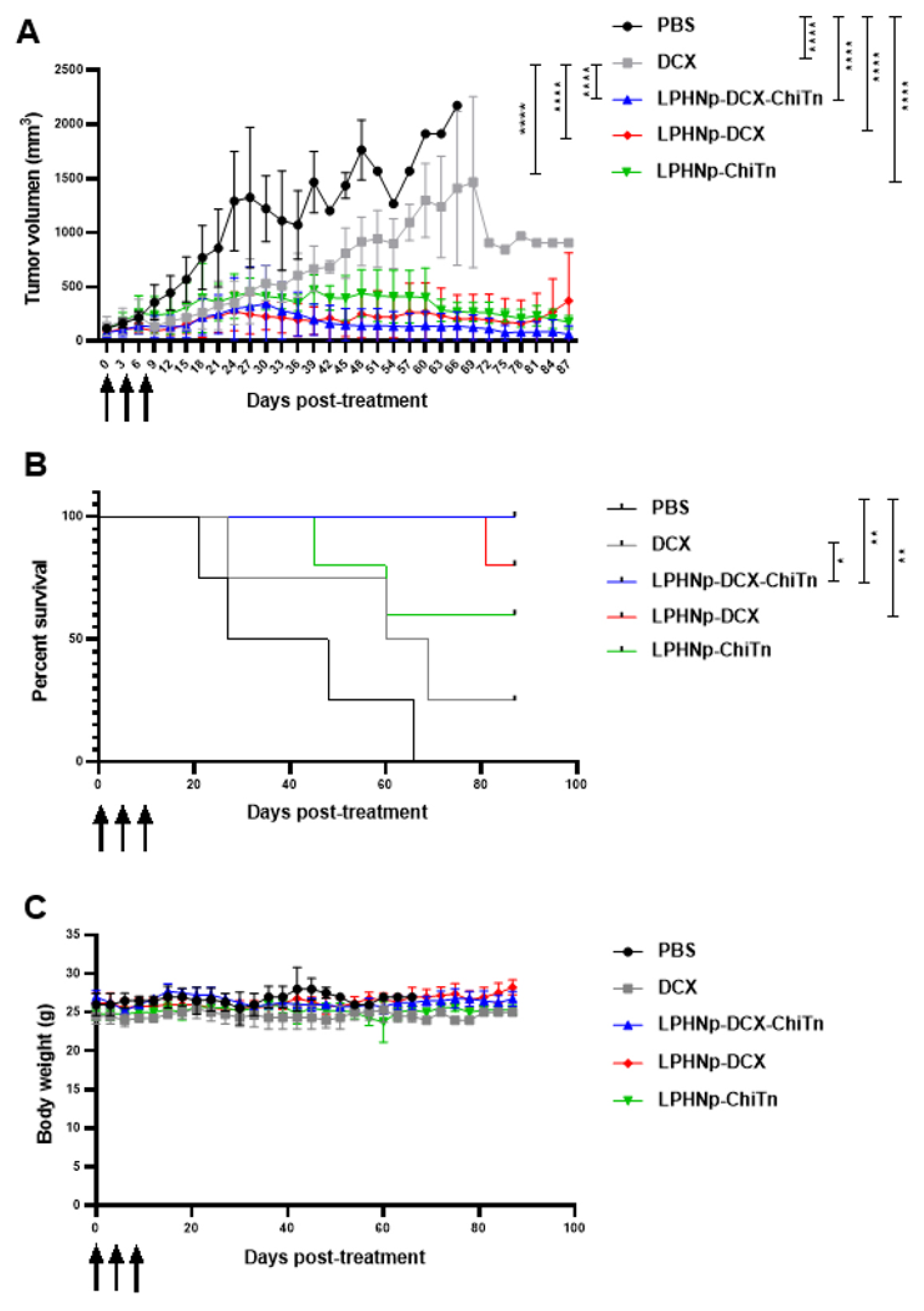 Pharmaceutics 17 00164 g006