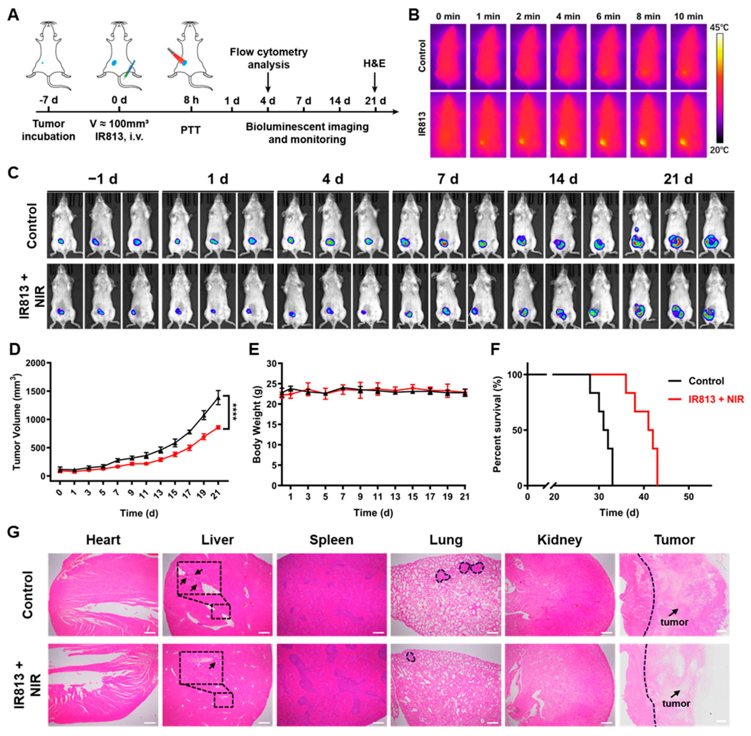 Pharmaceutics 17 00166 g004