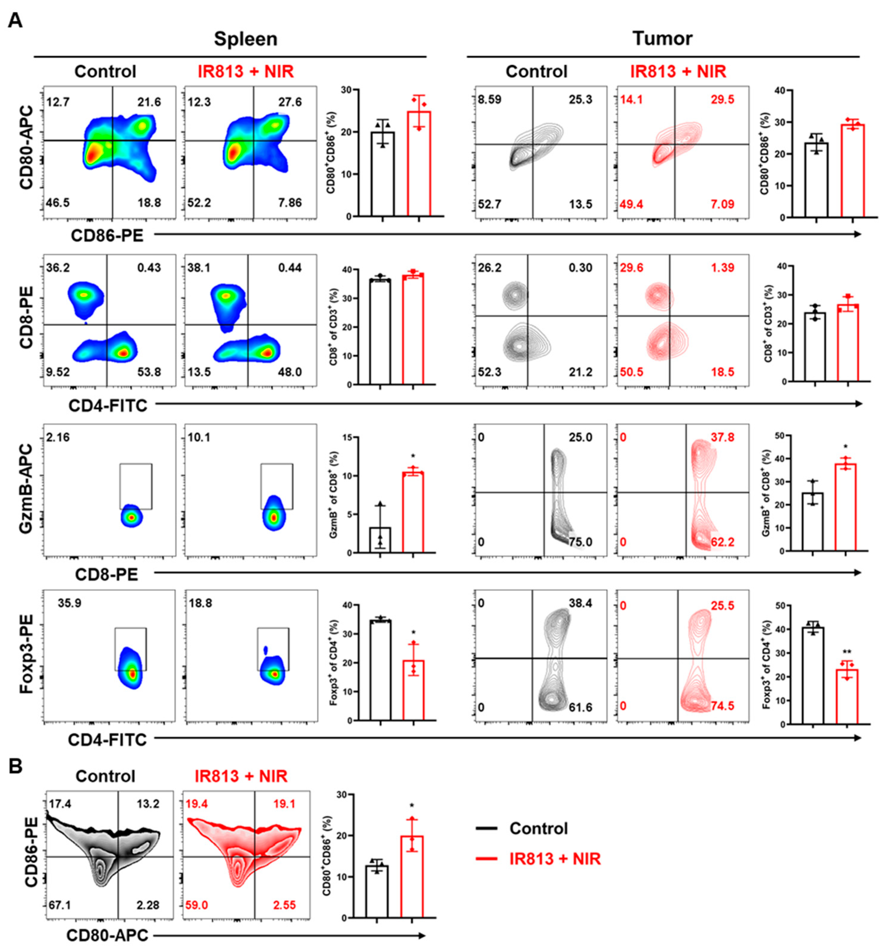 Pharmaceutics 17 00166 g005
