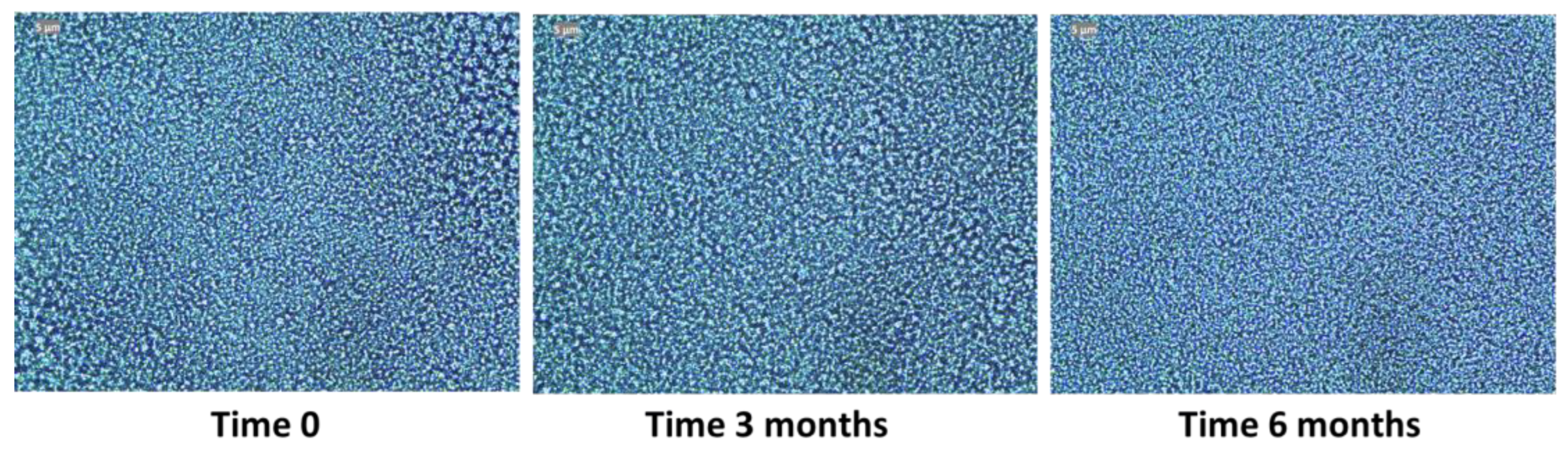 Pharmaceutics 17 00168 g003