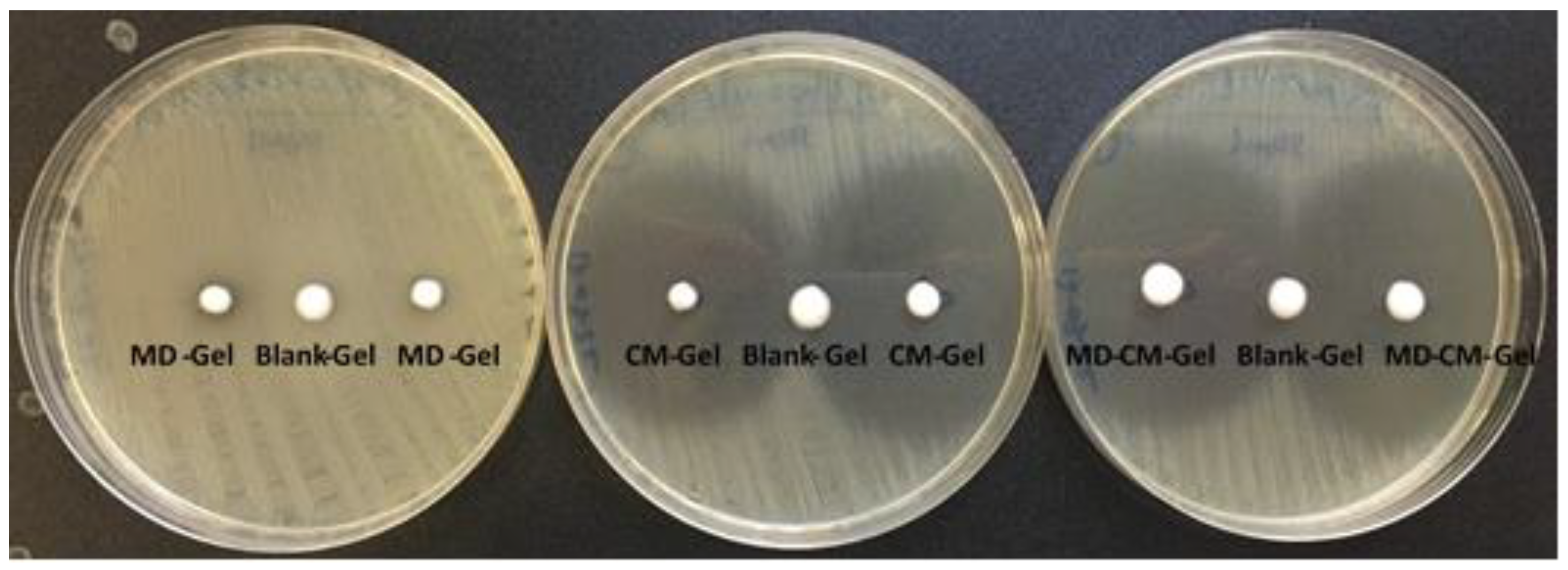 Pharmaceutics 17 00168 g011