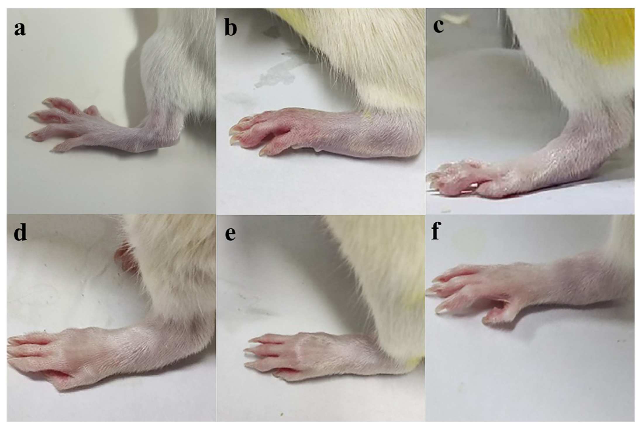 Pharmaceutics 17 00169 g004