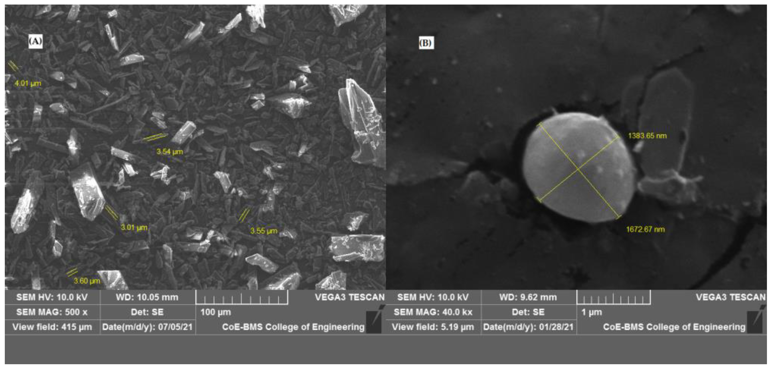 Pharmaceutics 17 00170 g003