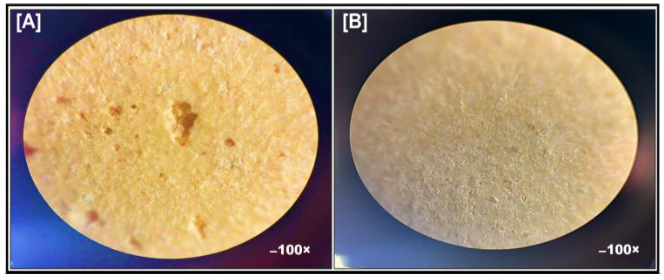 Pharmaceutics 17 00170 g008