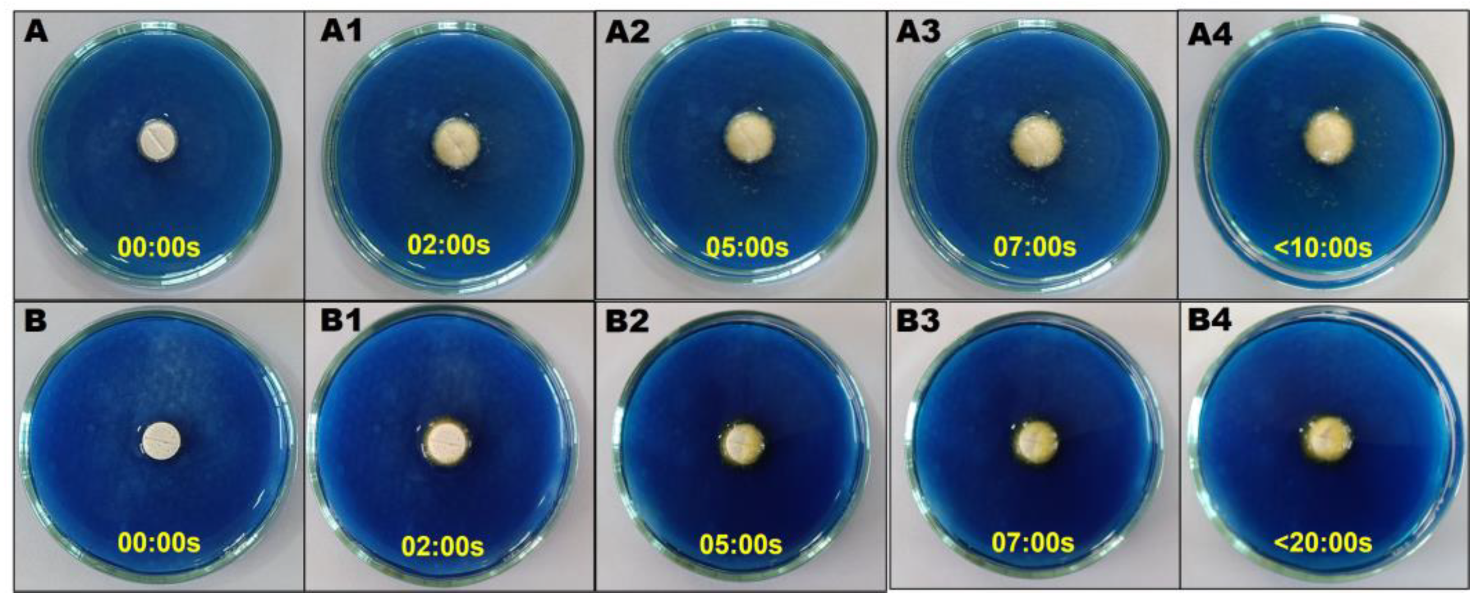 Pharmaceutics 17 00170 g009