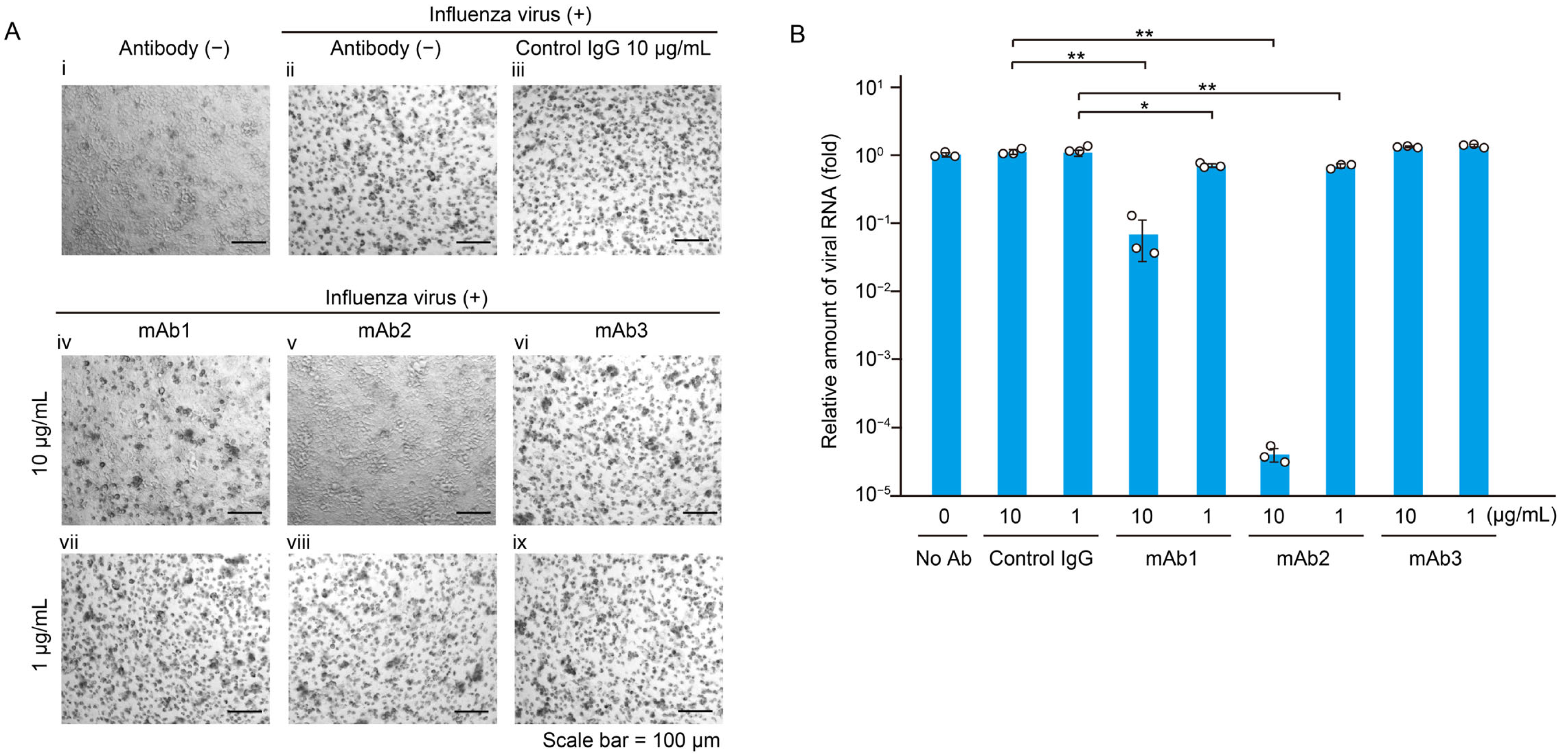 Pharmaceutics 17 00173 g001