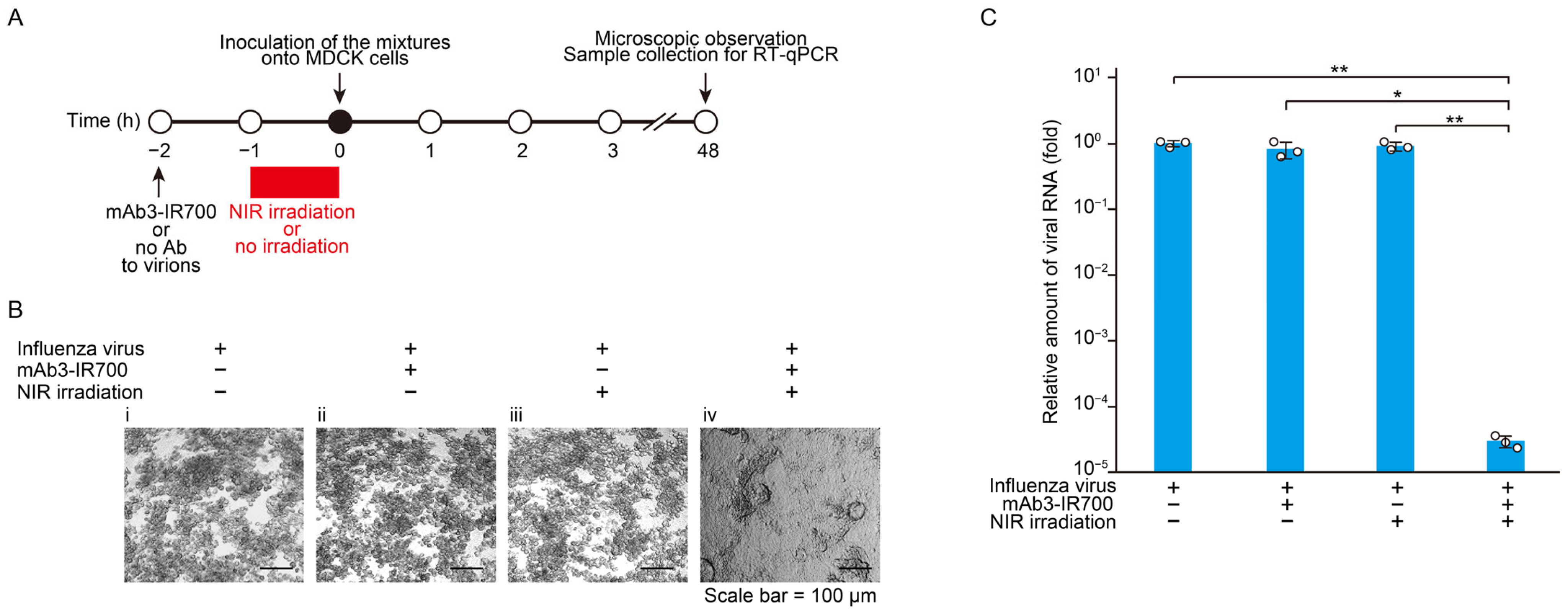 Pharmaceutics 17 00173 g002