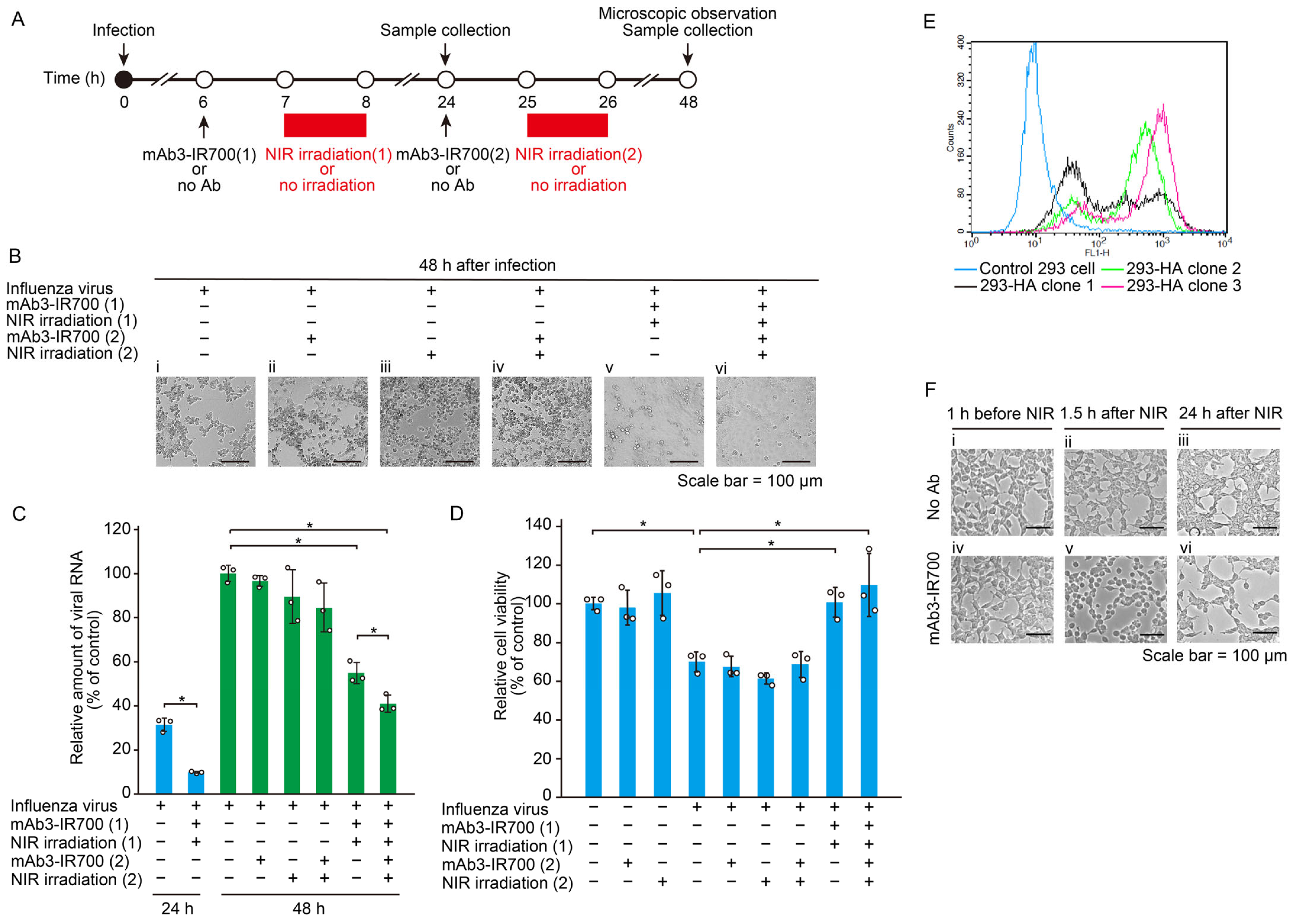 Pharmaceutics 17 00173 g003