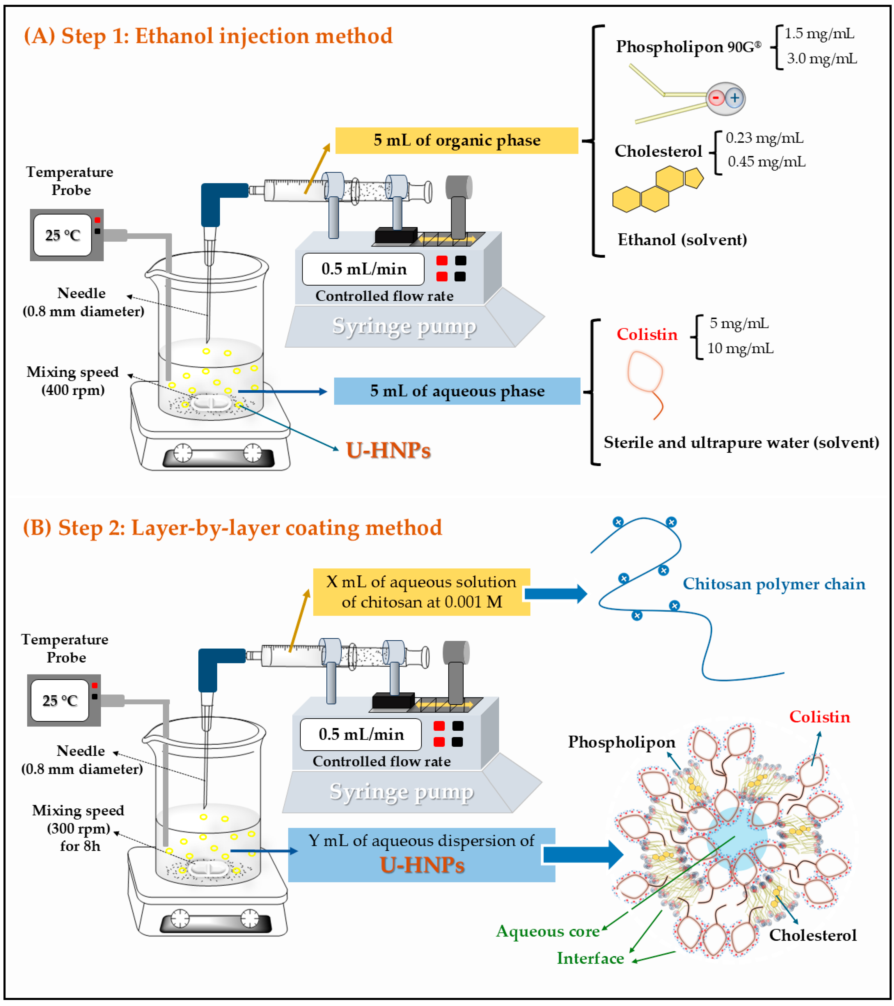 Pharmaceutics 17 00182 g001