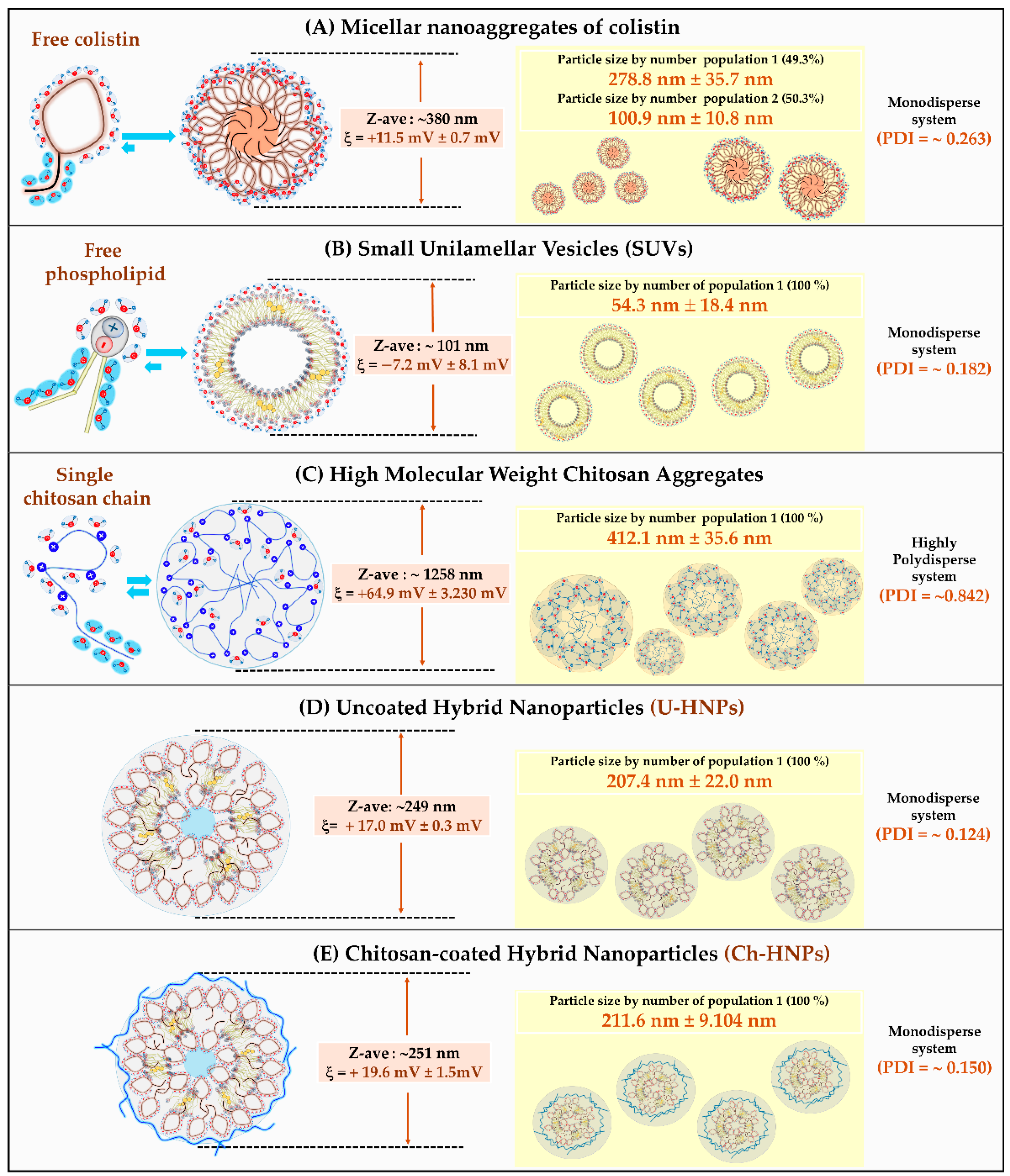 Pharmaceutics 17 00182 g003