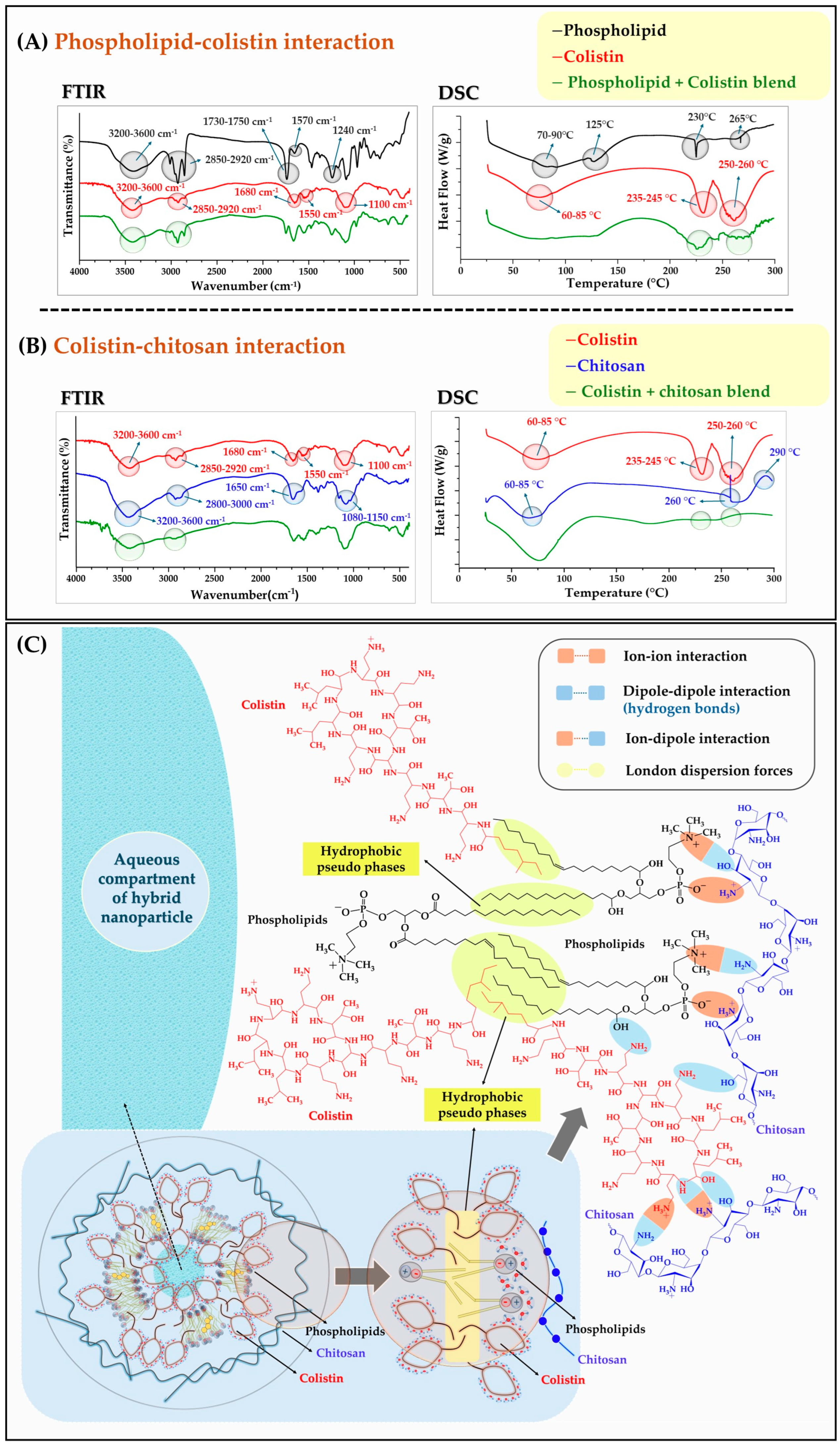 Pharmaceutics 17 00182 g004