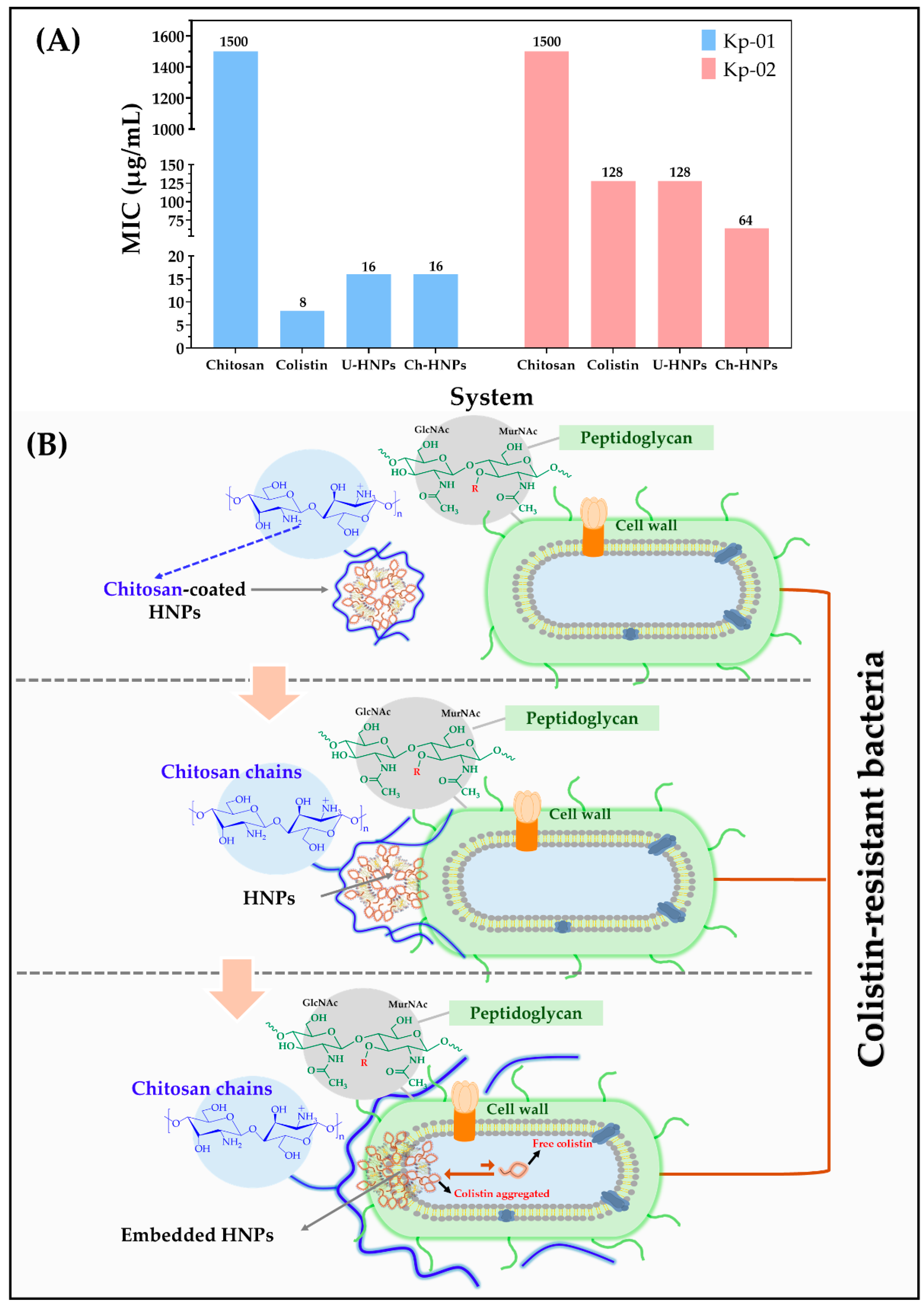 Pharmaceutics 17 00182 g007