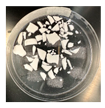 Pharmaceutics 17 00183 i001 Pharmaceutics 17 00183 i001